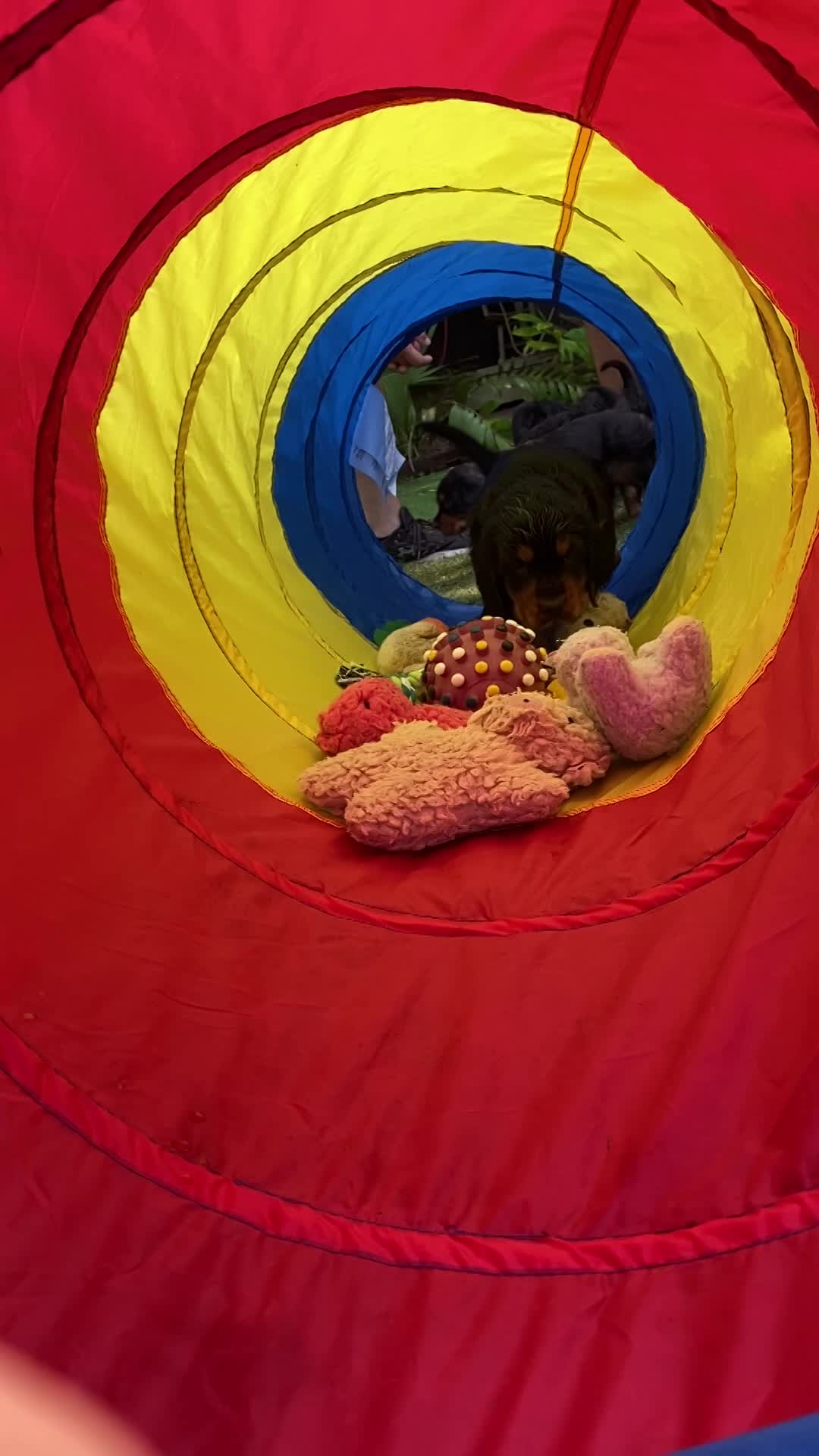 Tunnel play