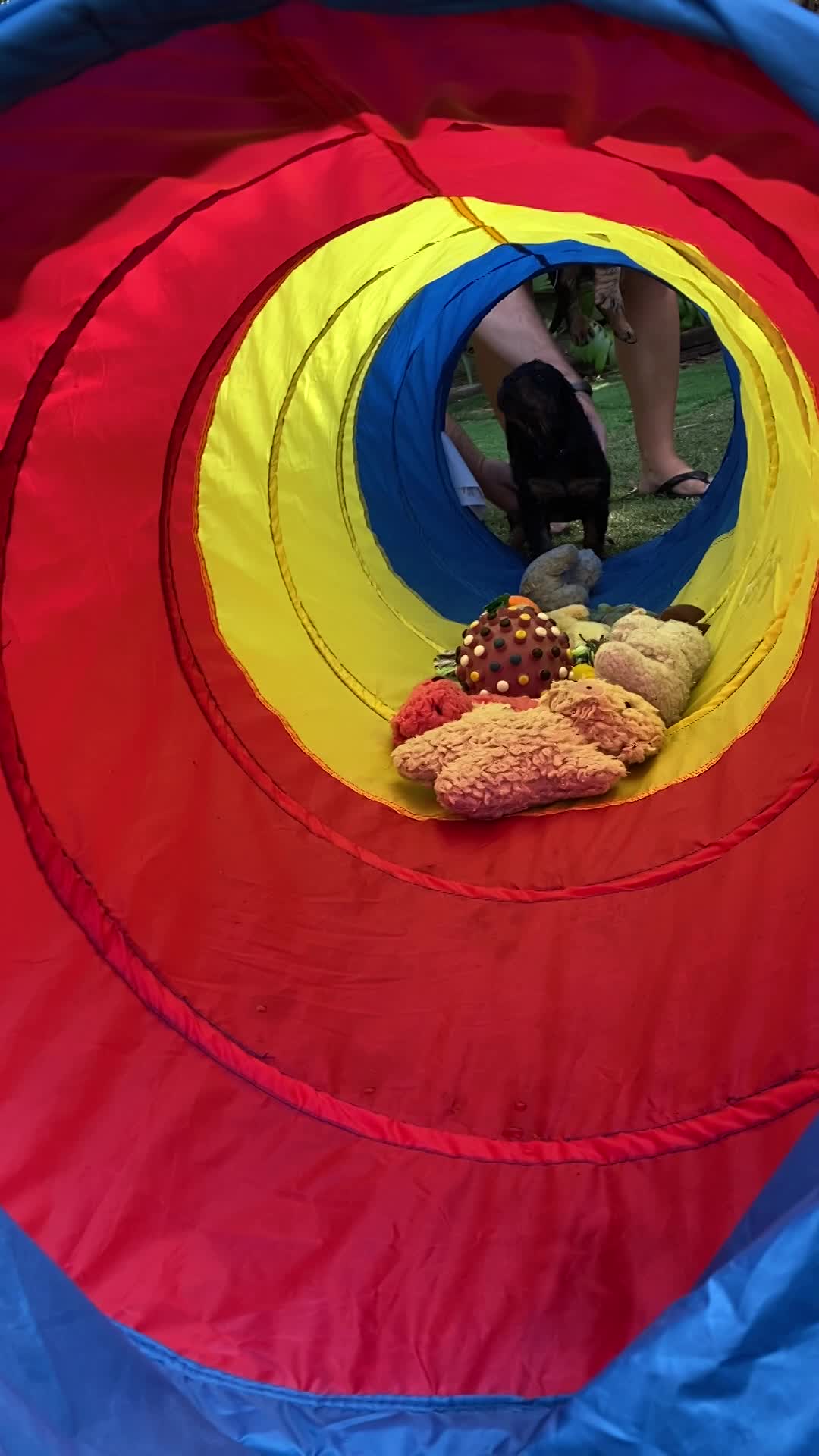 Tunnel play