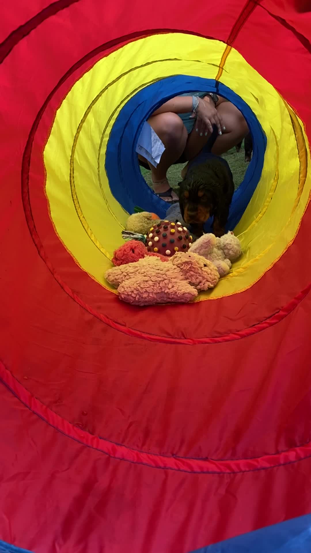 Tunnel play