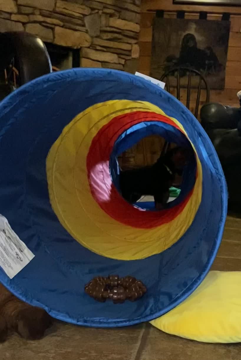 Tunnel play
