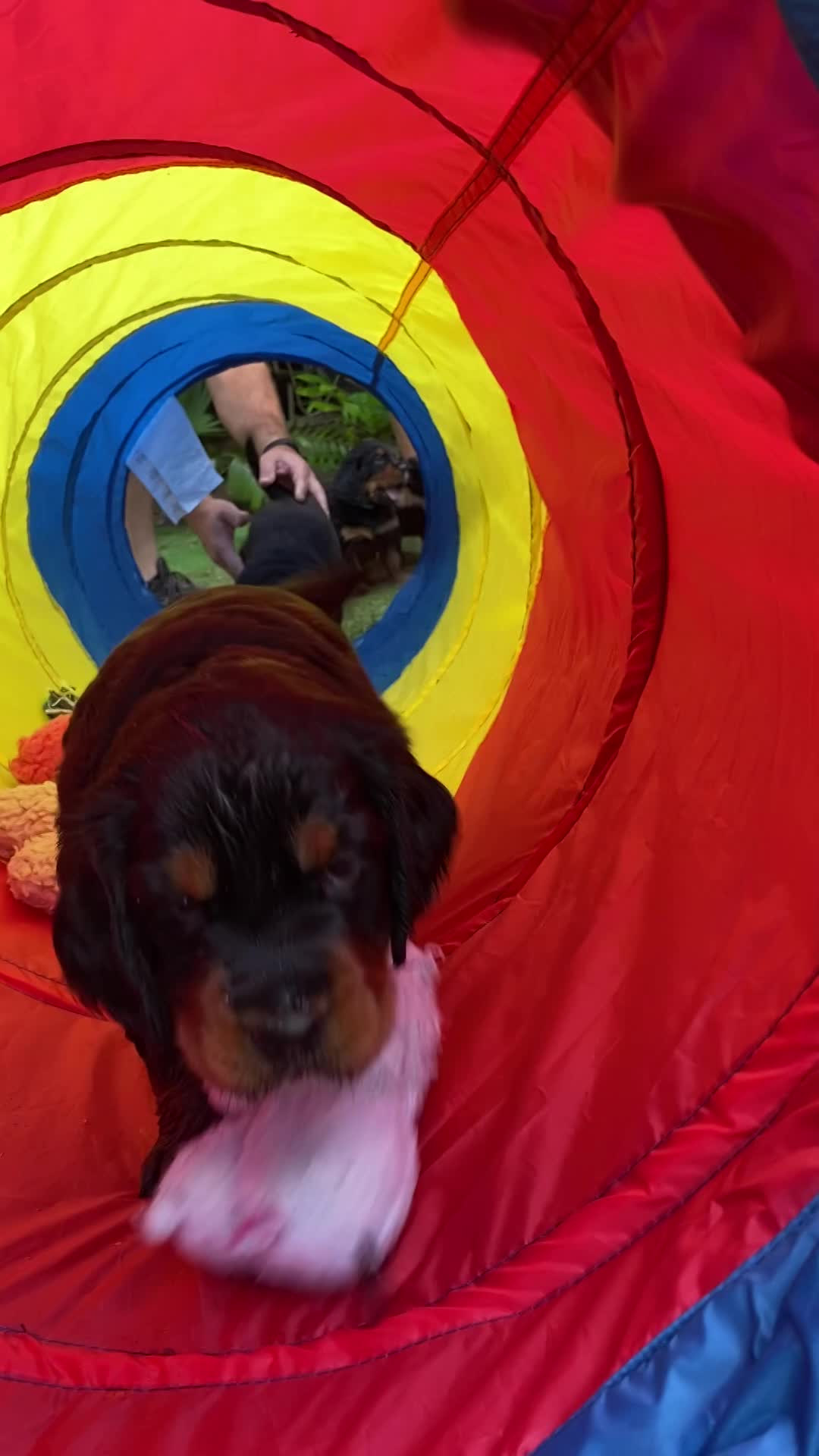 Tunnel play