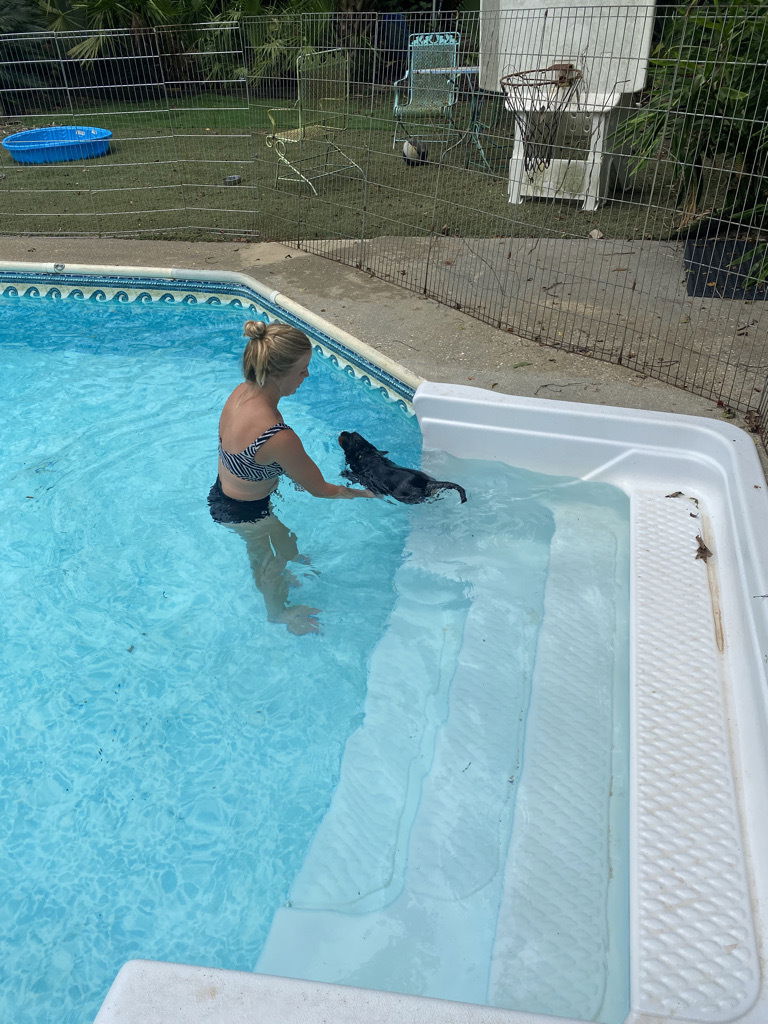 Learning to swim
