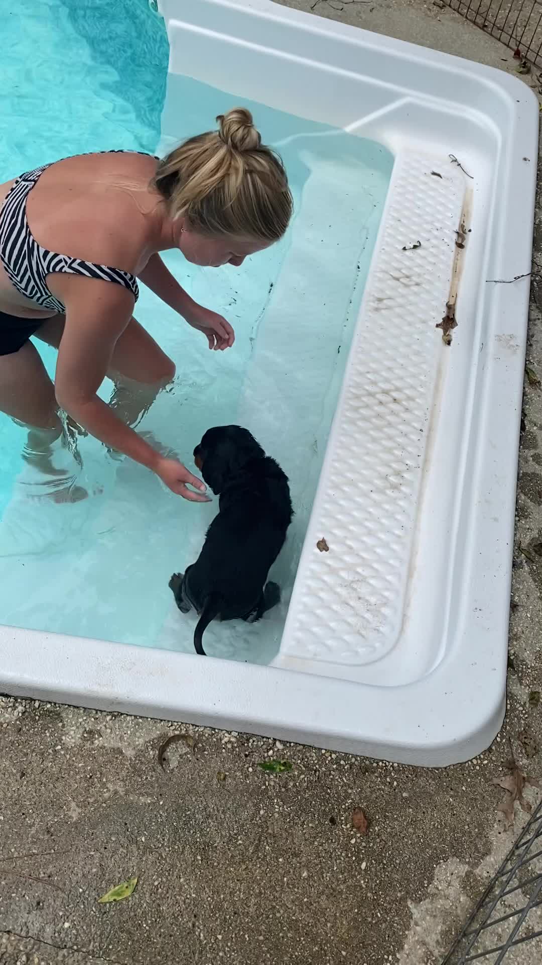 Learning to swim