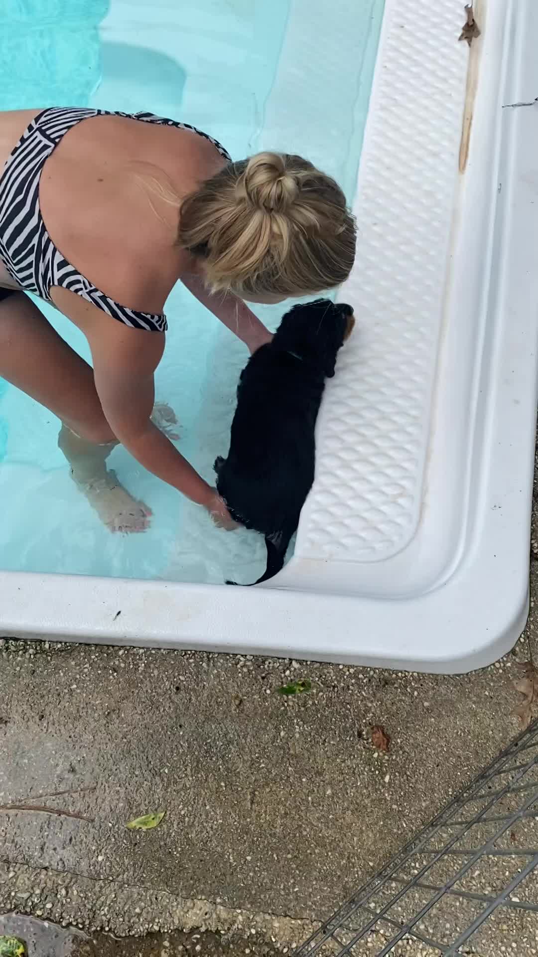 Learning to swim