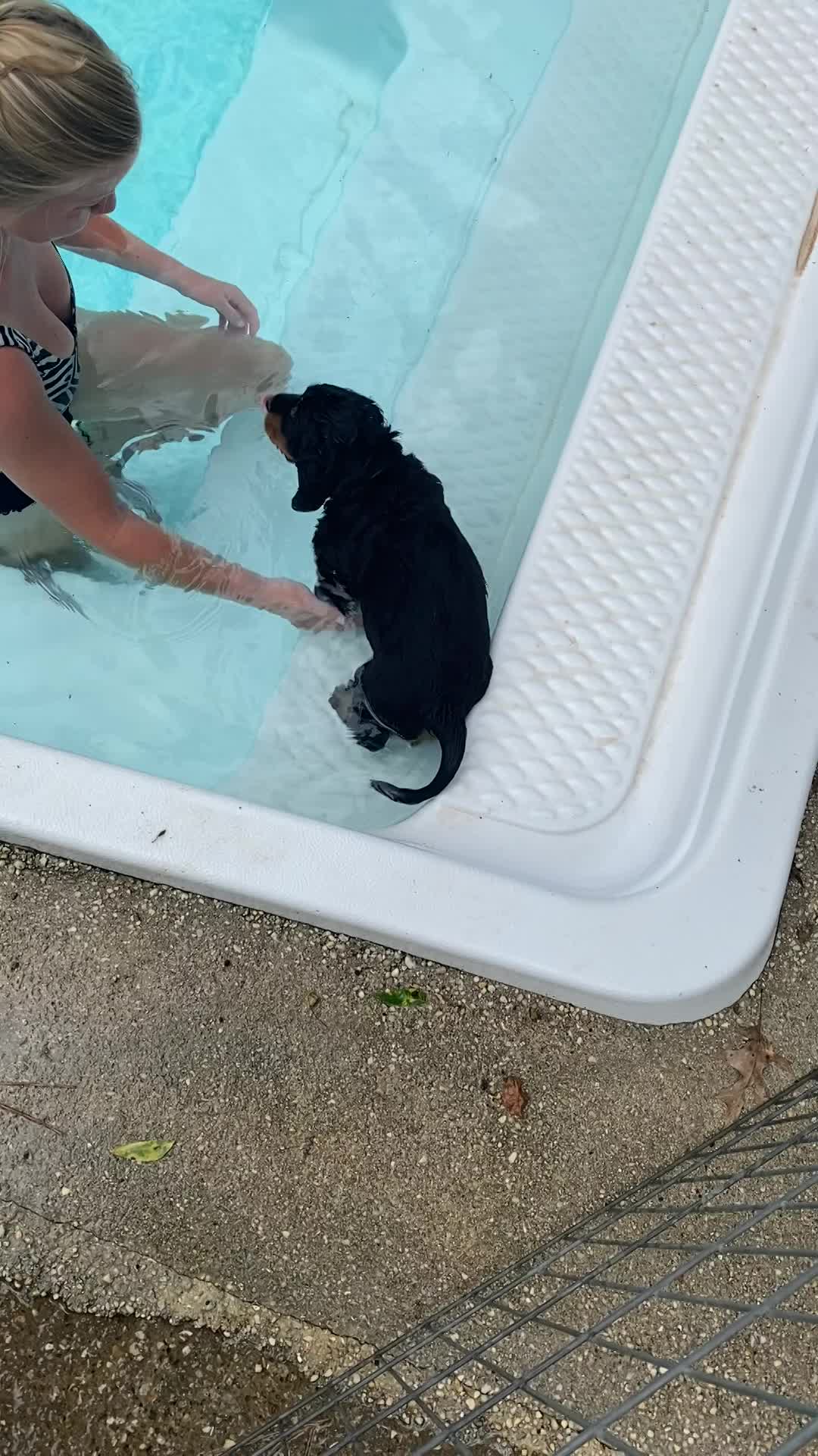 Learning to swim