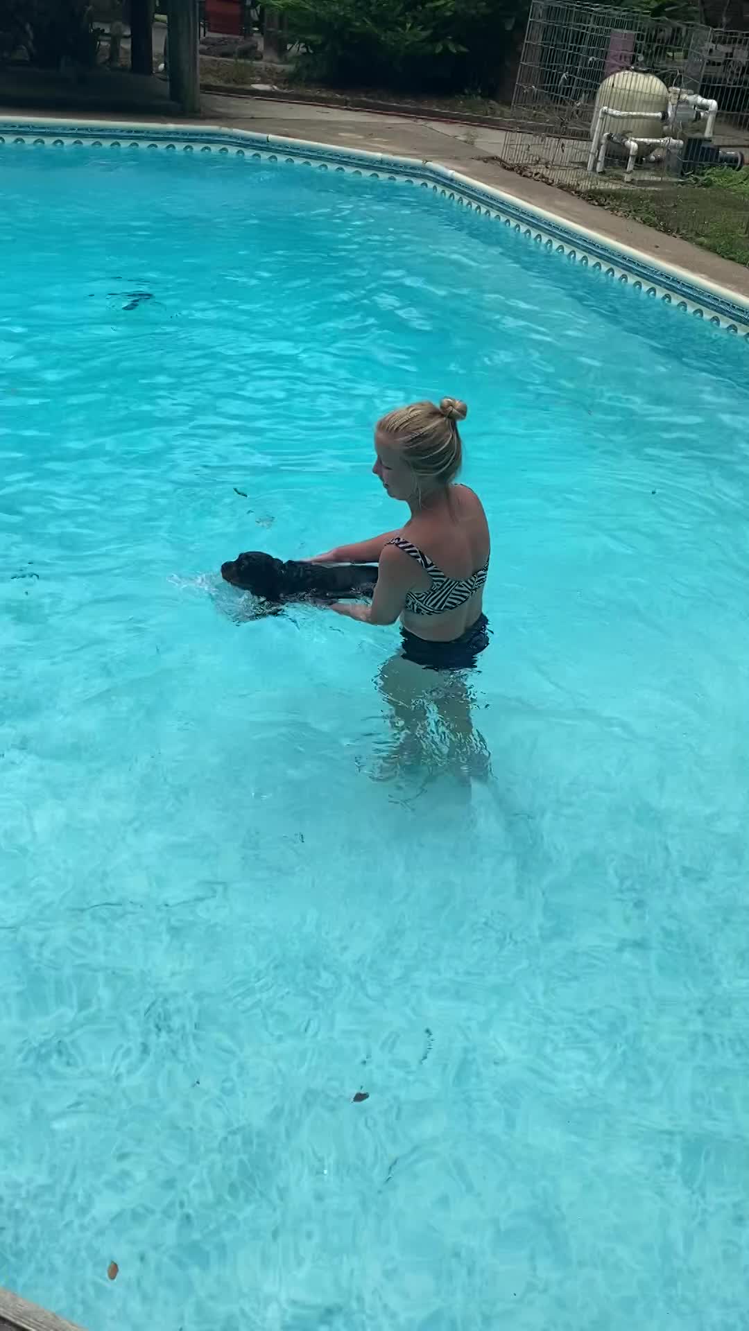 Learning to swim