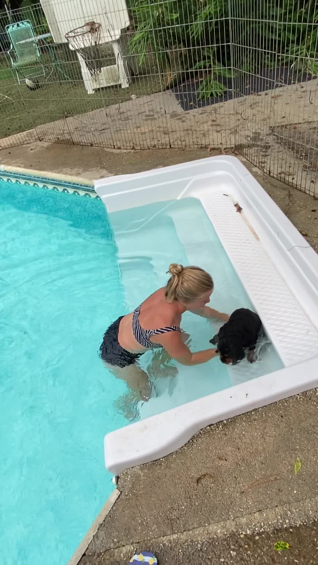 Learning to swim