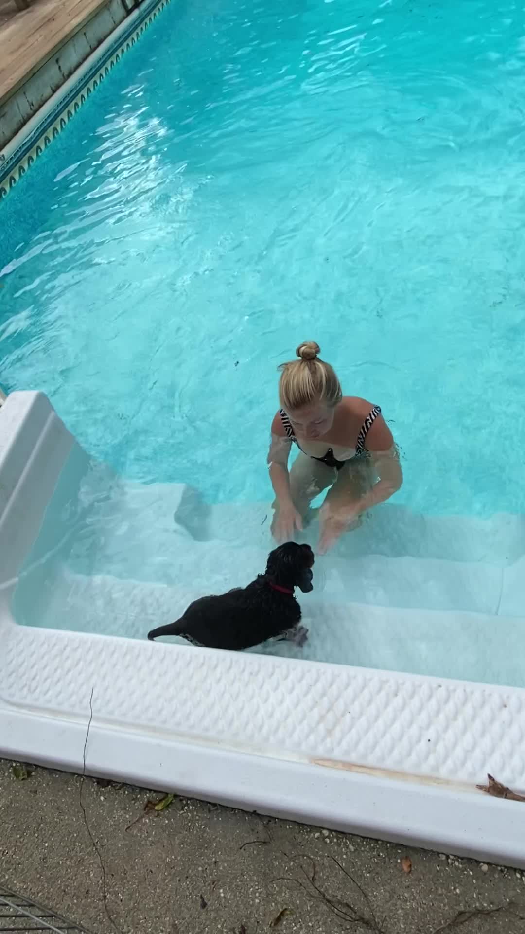 Learning to swim