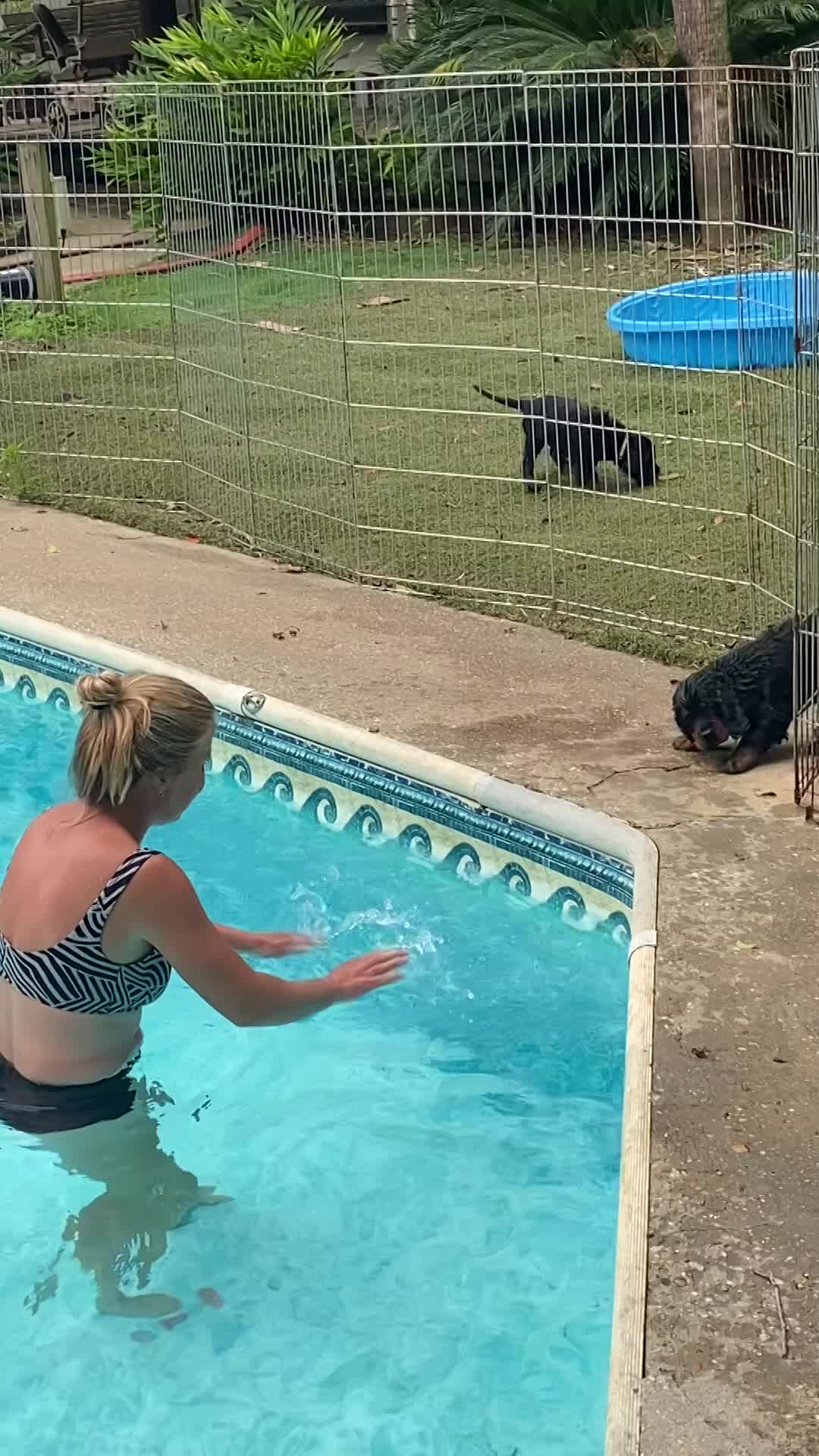 Learning to swim