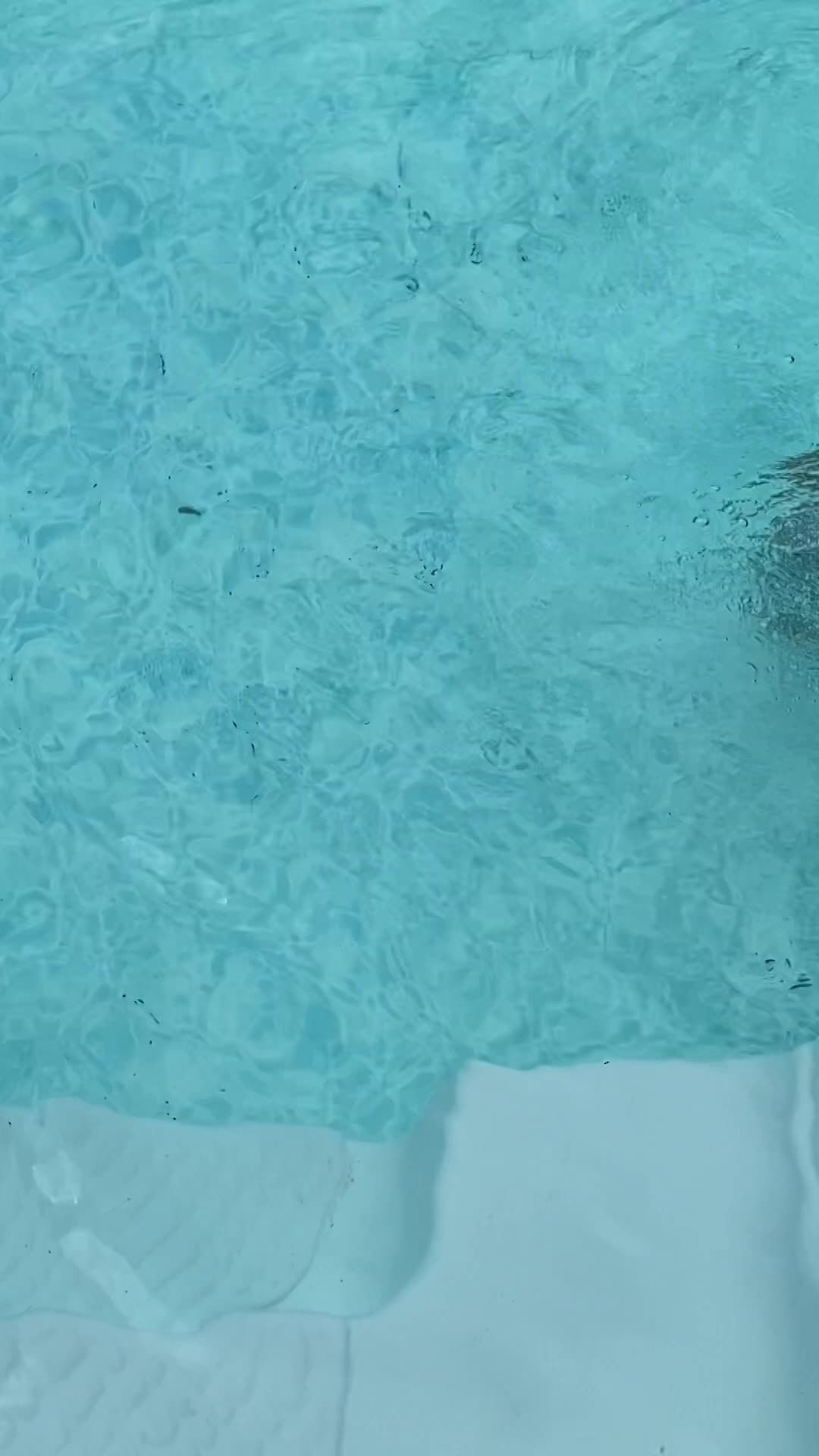 Learning to swim
