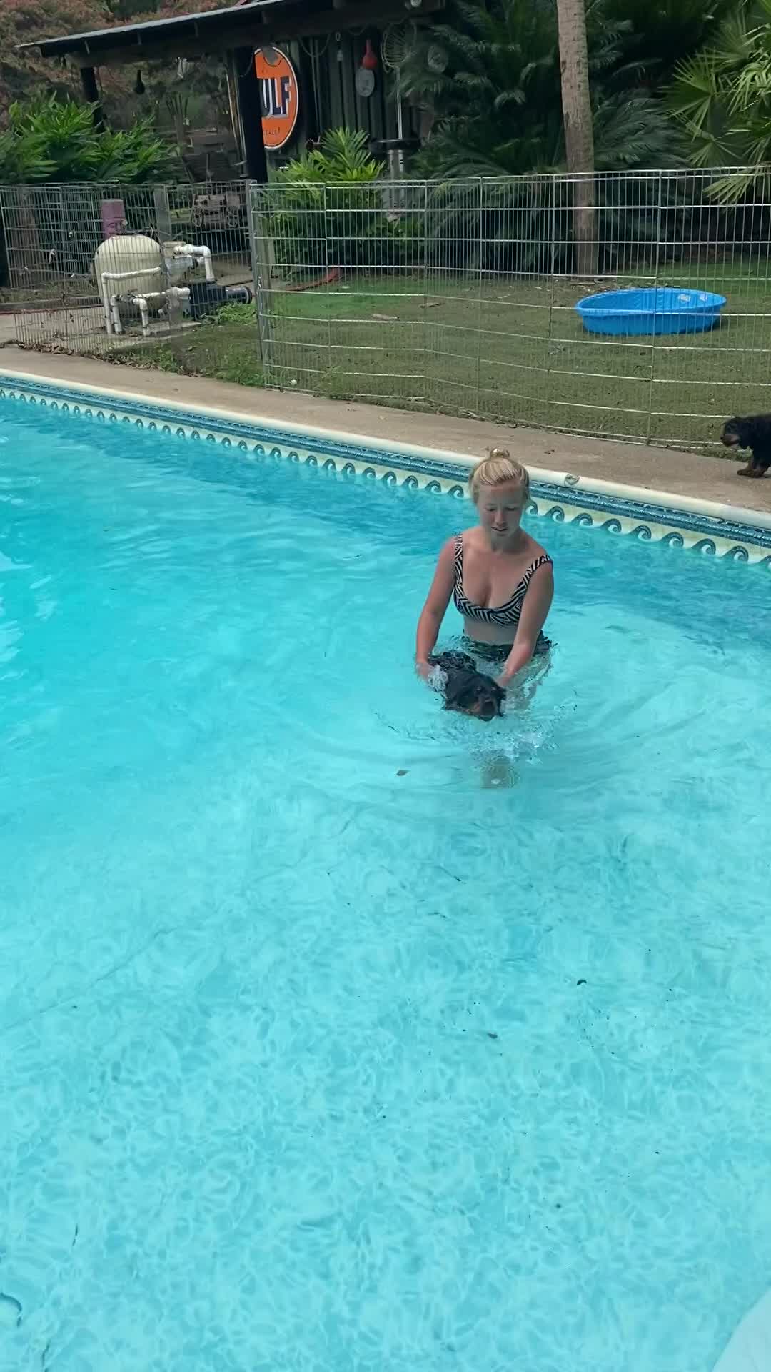 Learning to swim