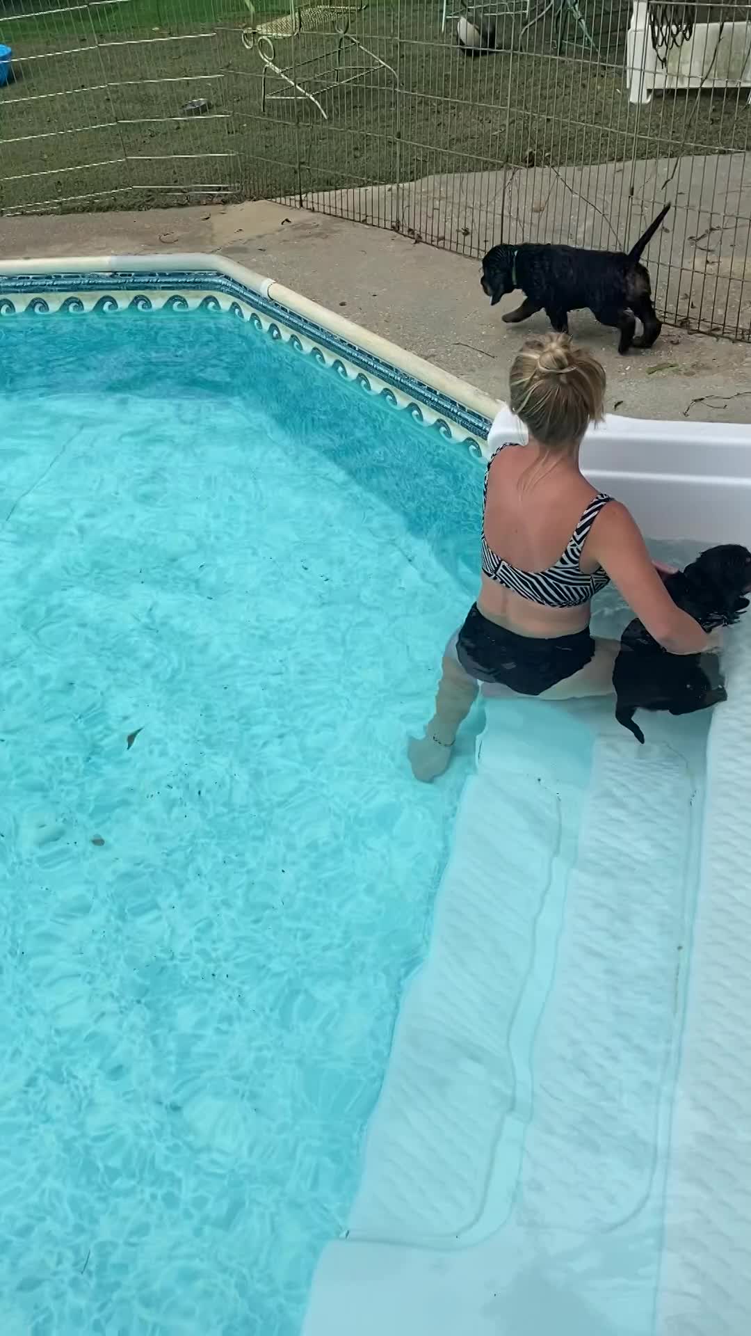 Learning to swim