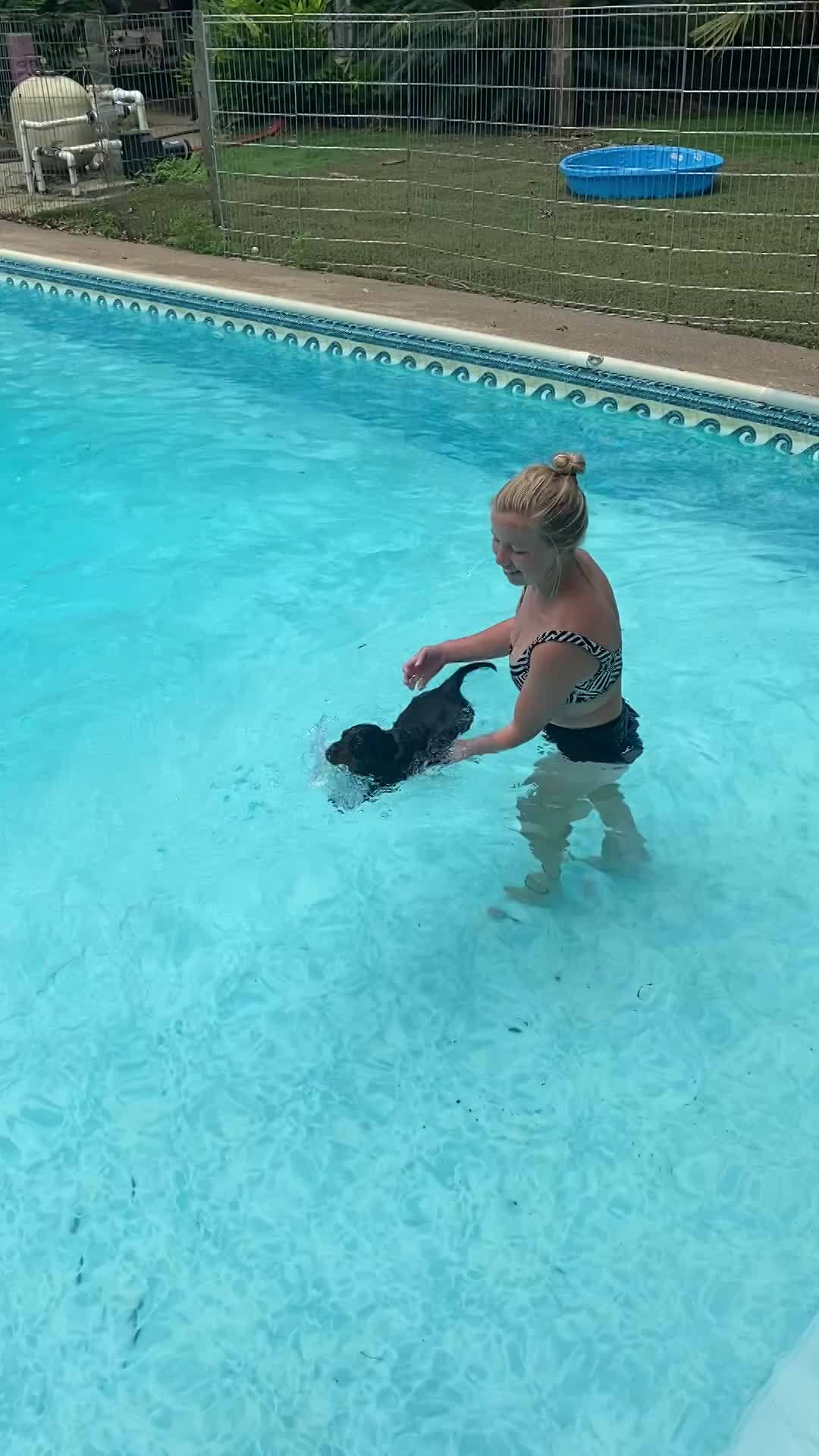 Learning to swim