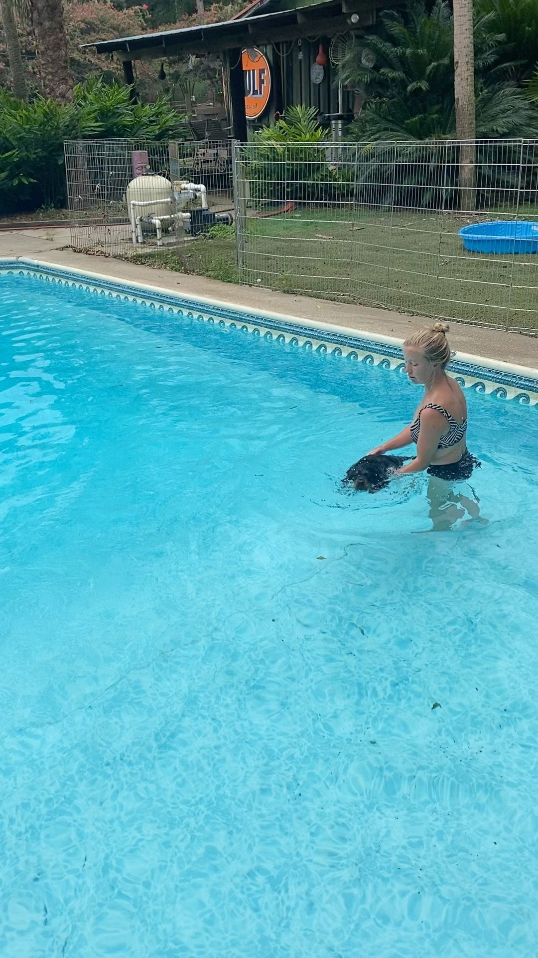 Learning to swim