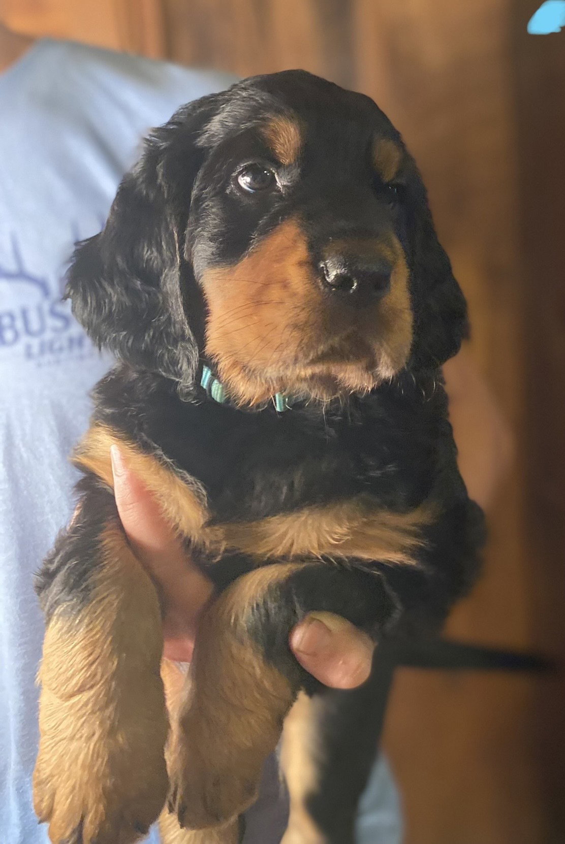 portraits of each at six weeks
