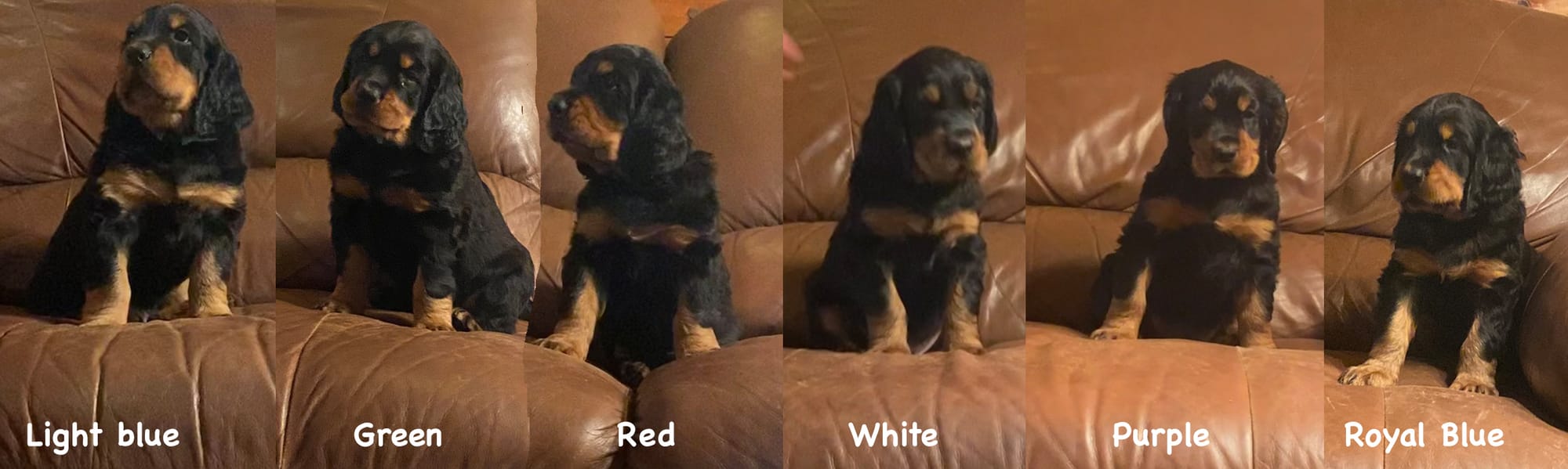 play time inside and out