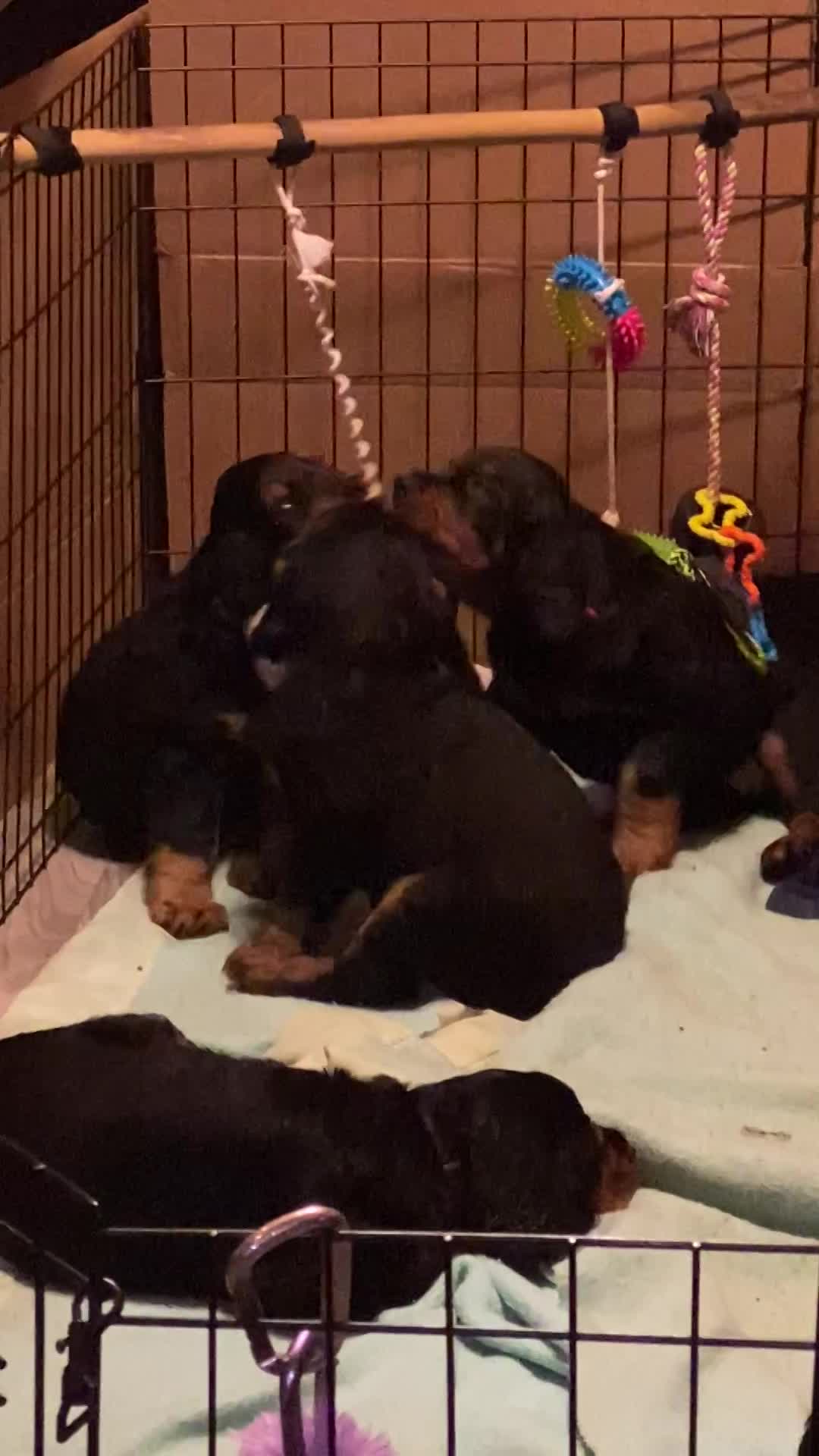 play time inside and out