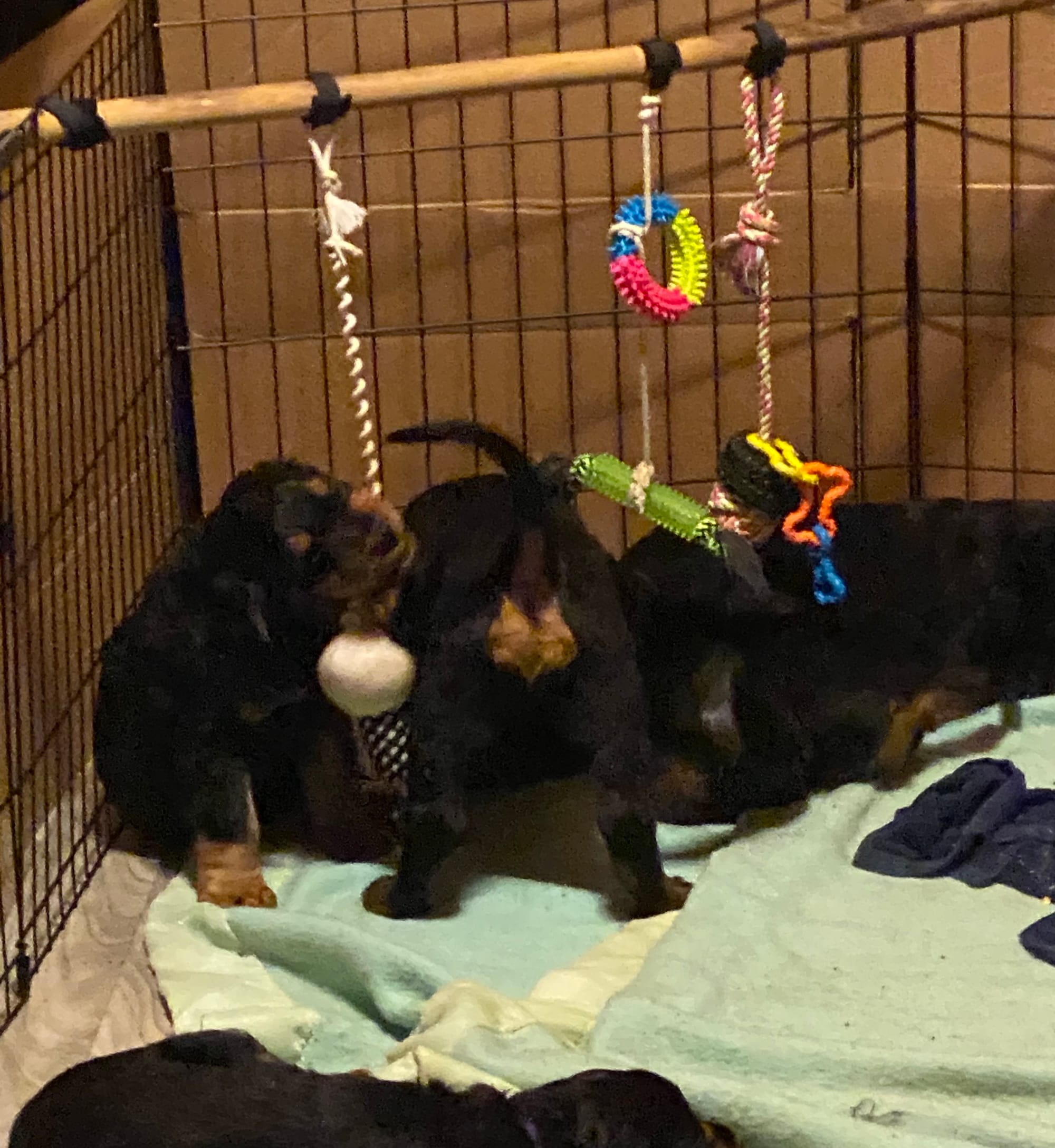 play time inside and out