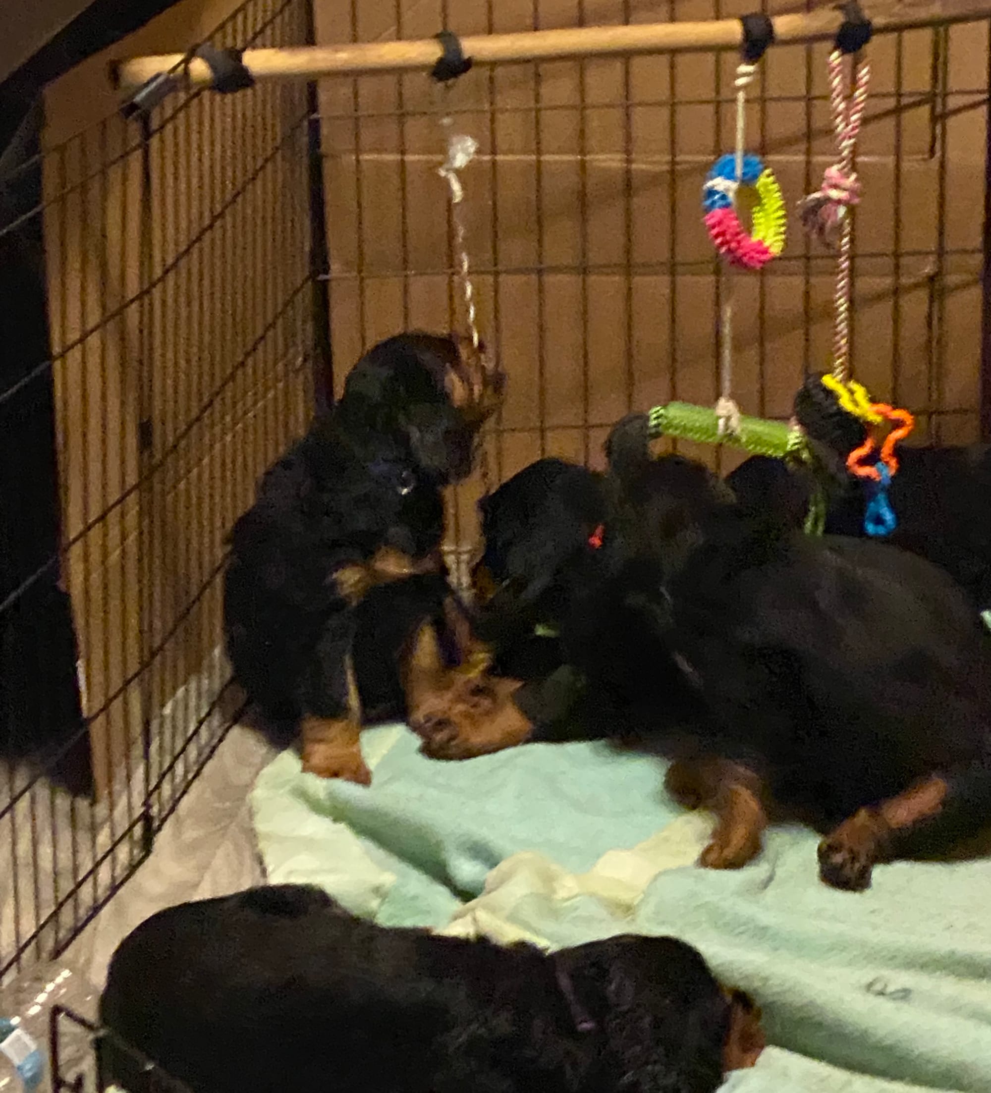 play time inside and out