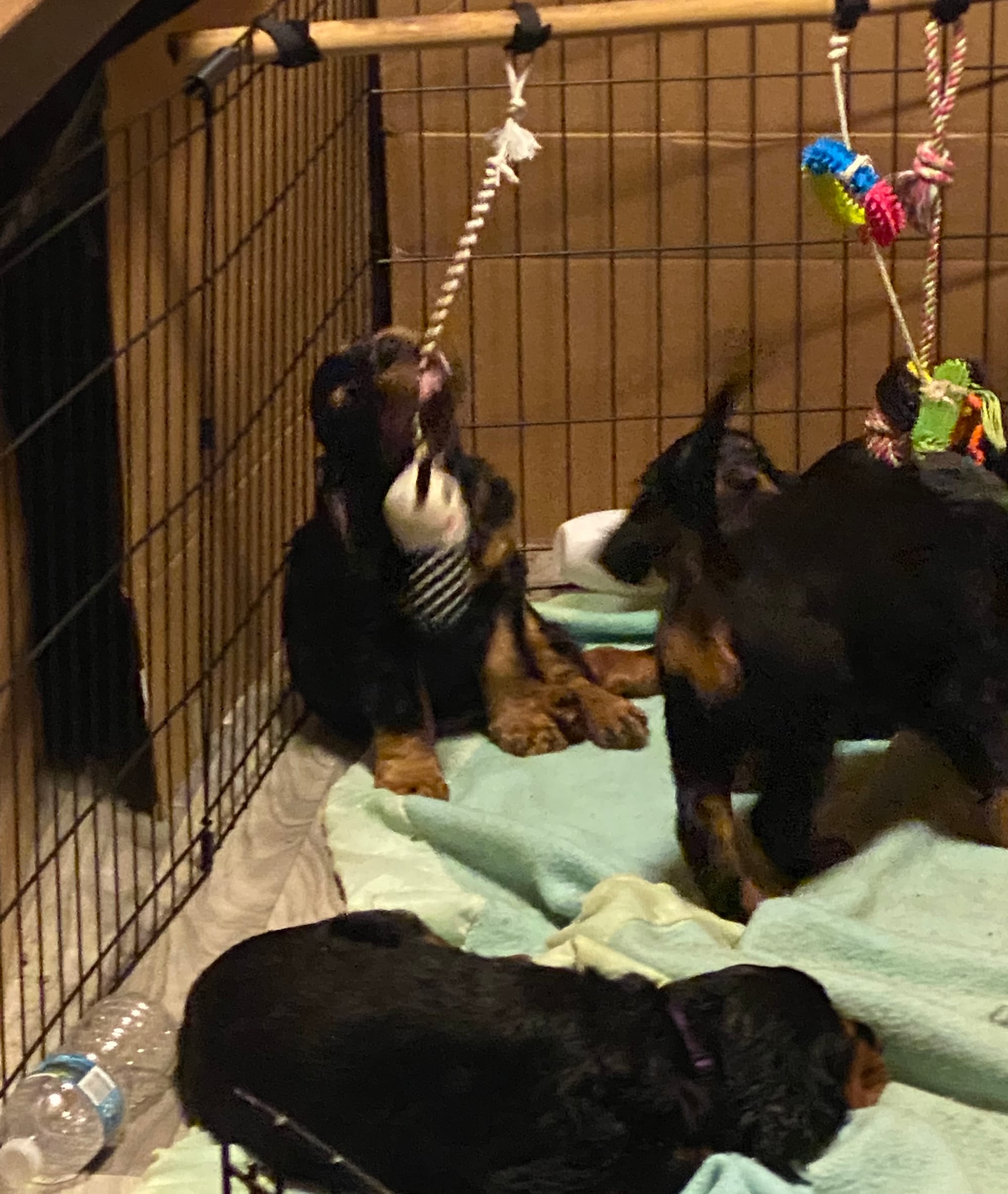 play time inside and out