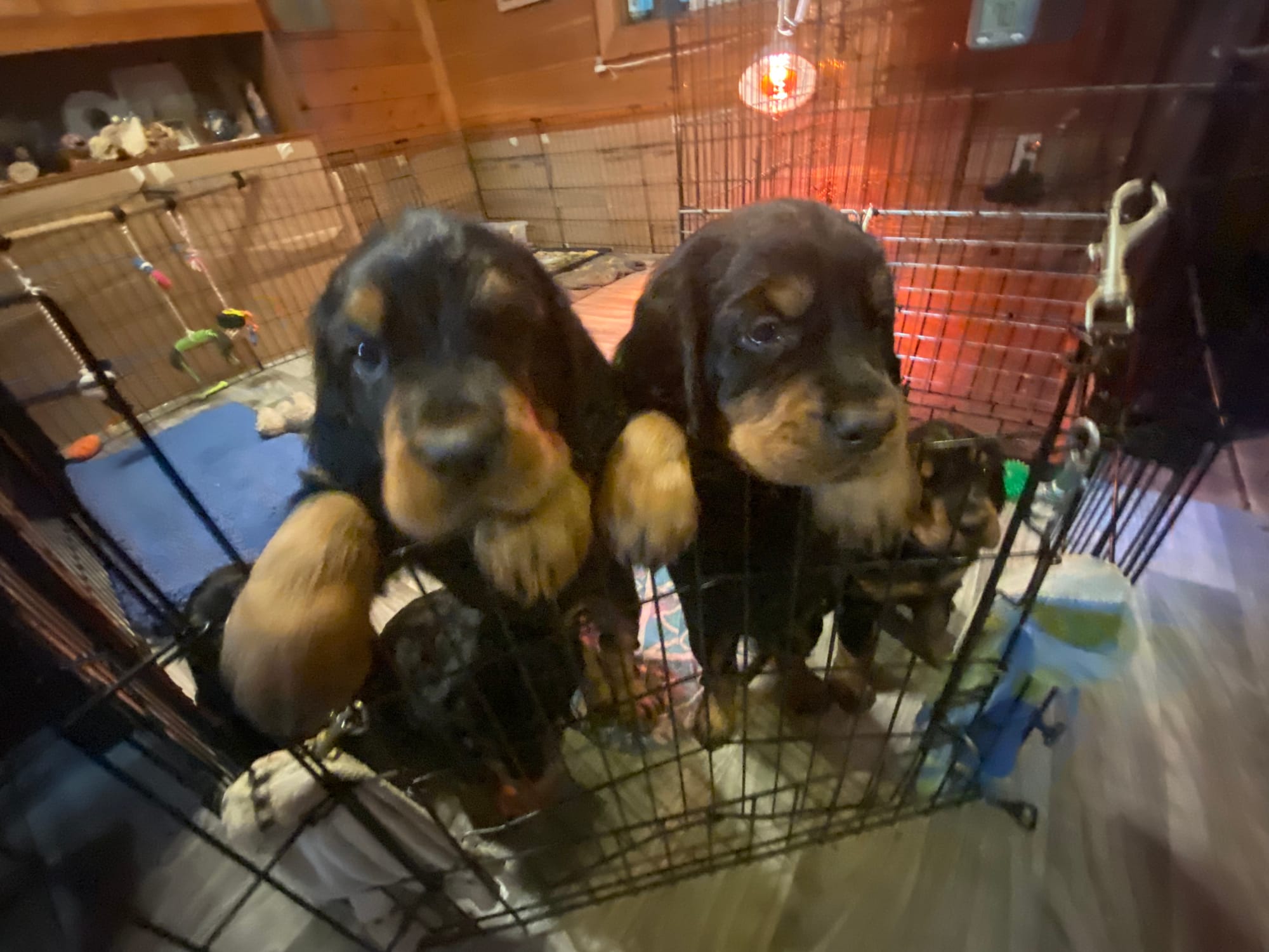 play time inside and out