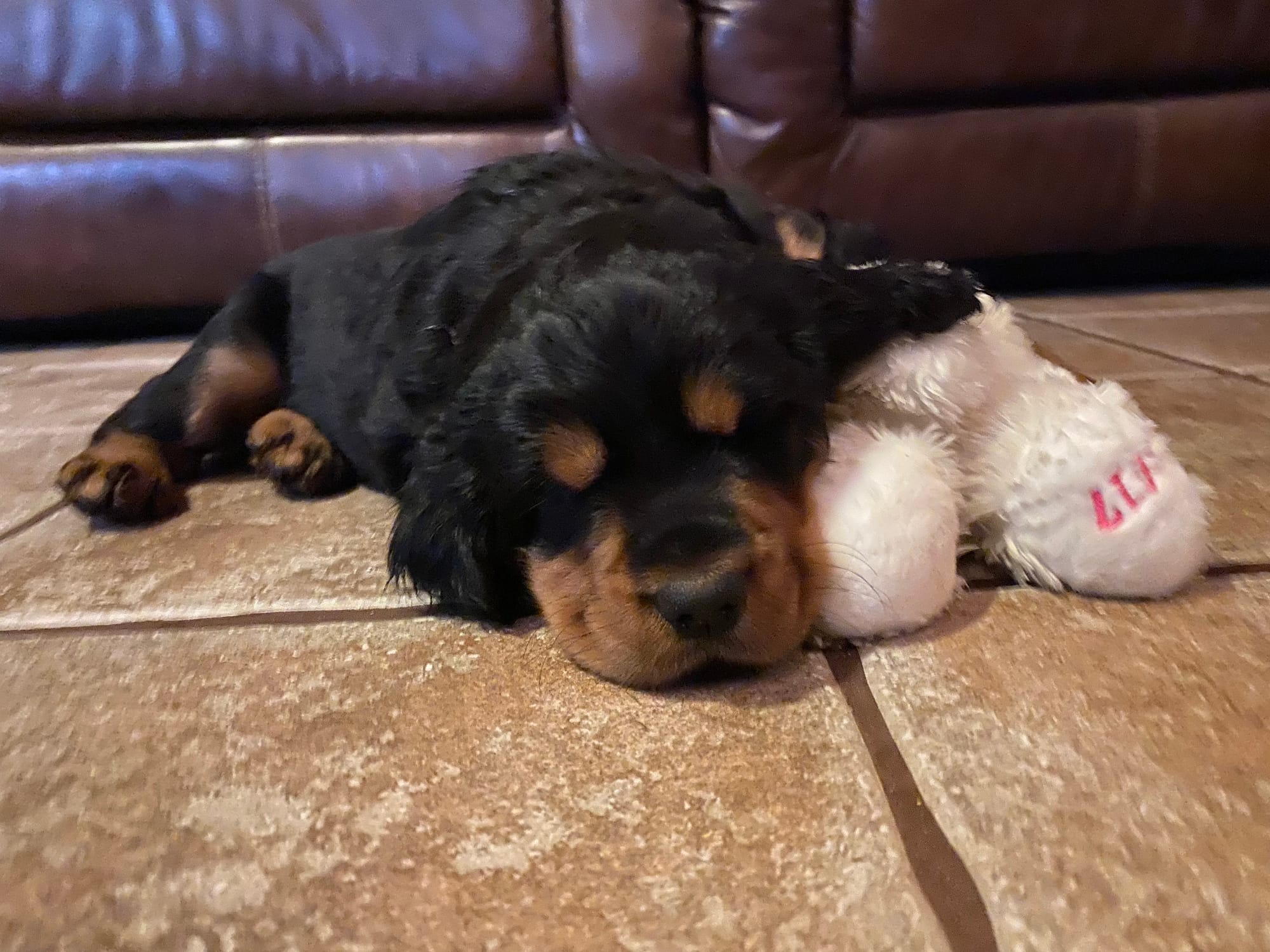 play time inside and out