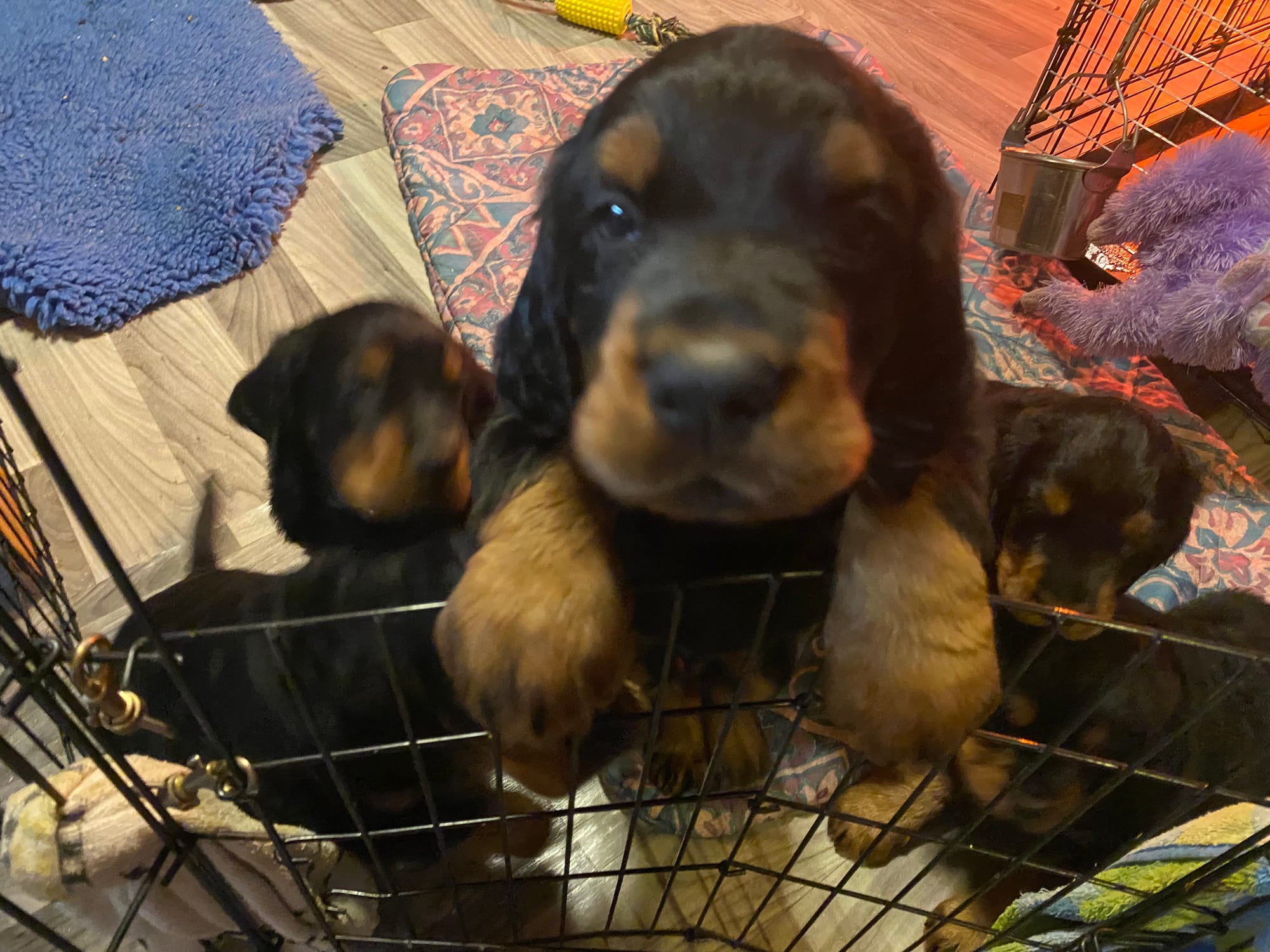 play time inside and out