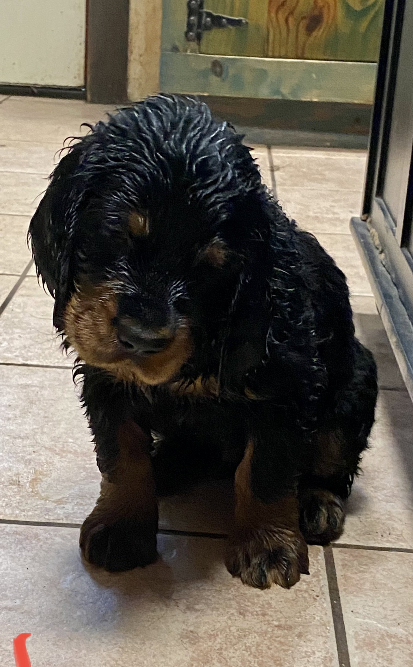 play time inside and out