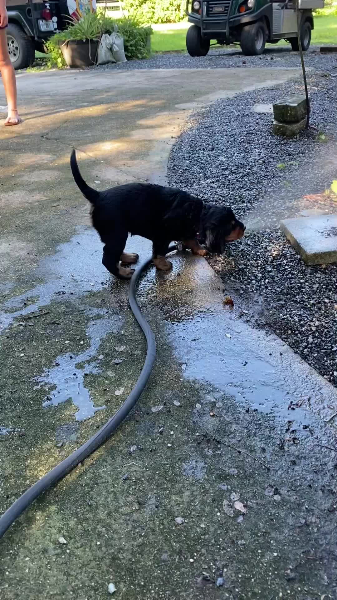 play time inside and out