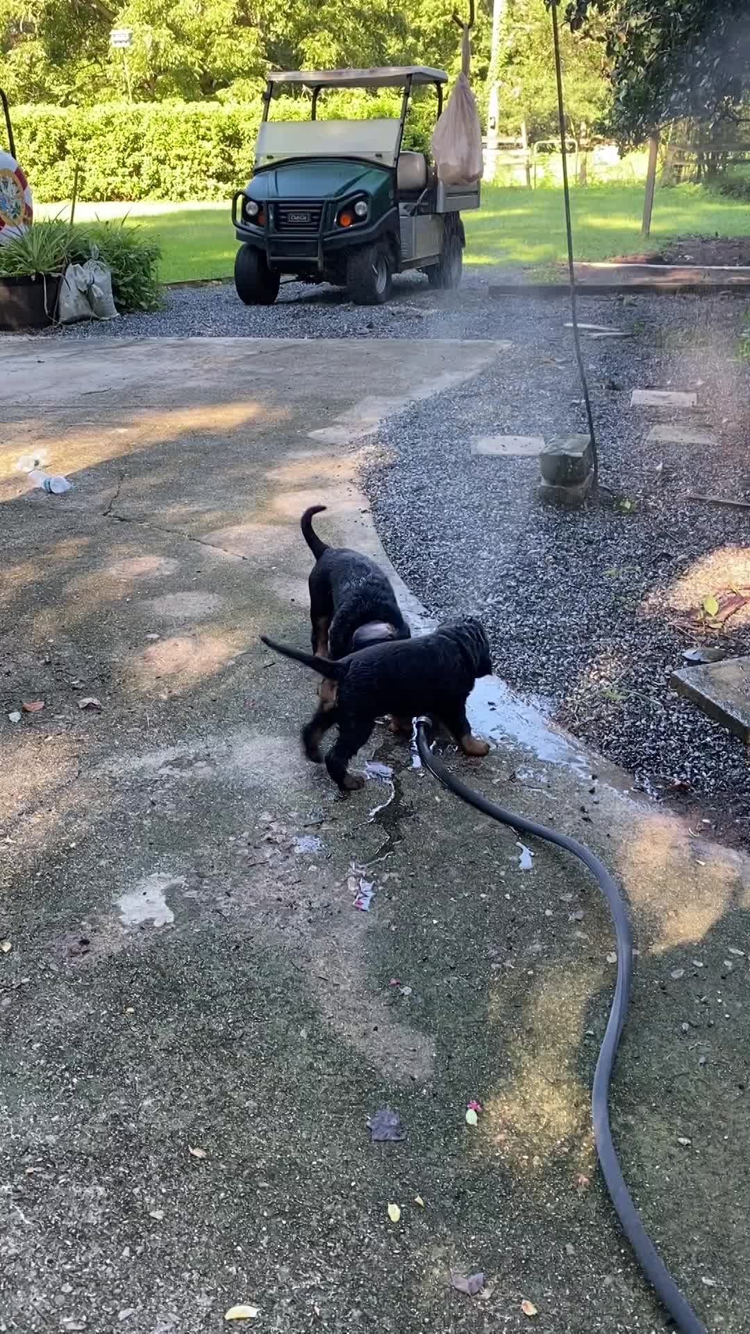 play time inside and out