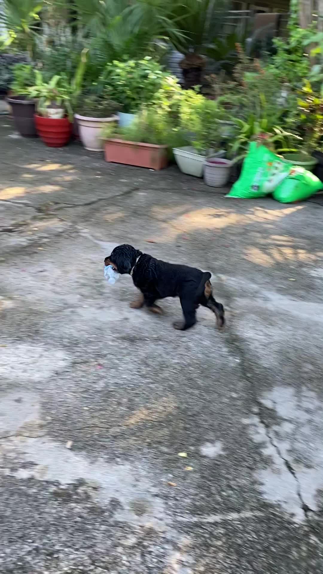 play time inside and out