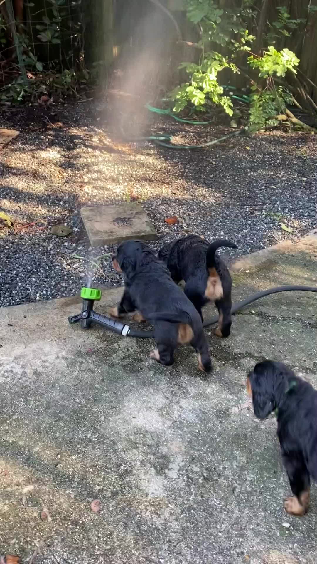 play time inside and out