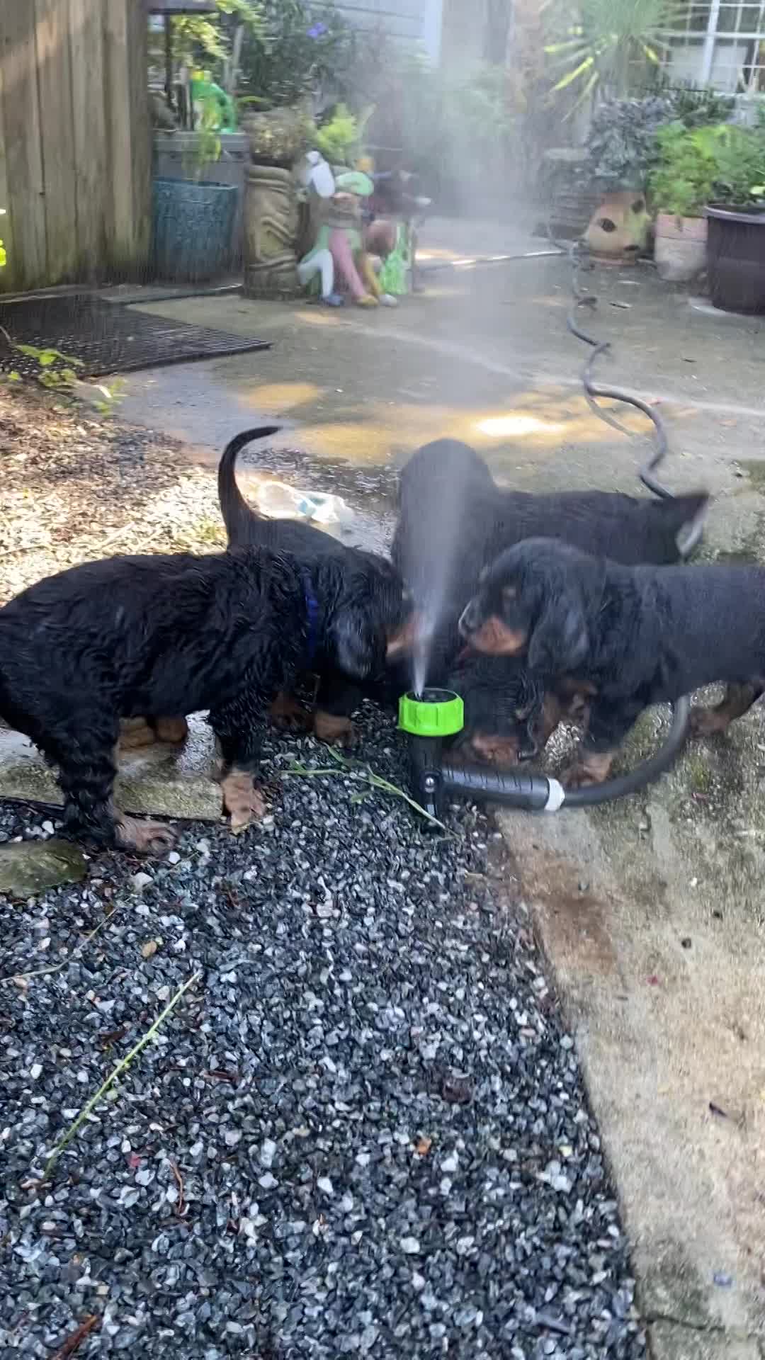 play time inside and out