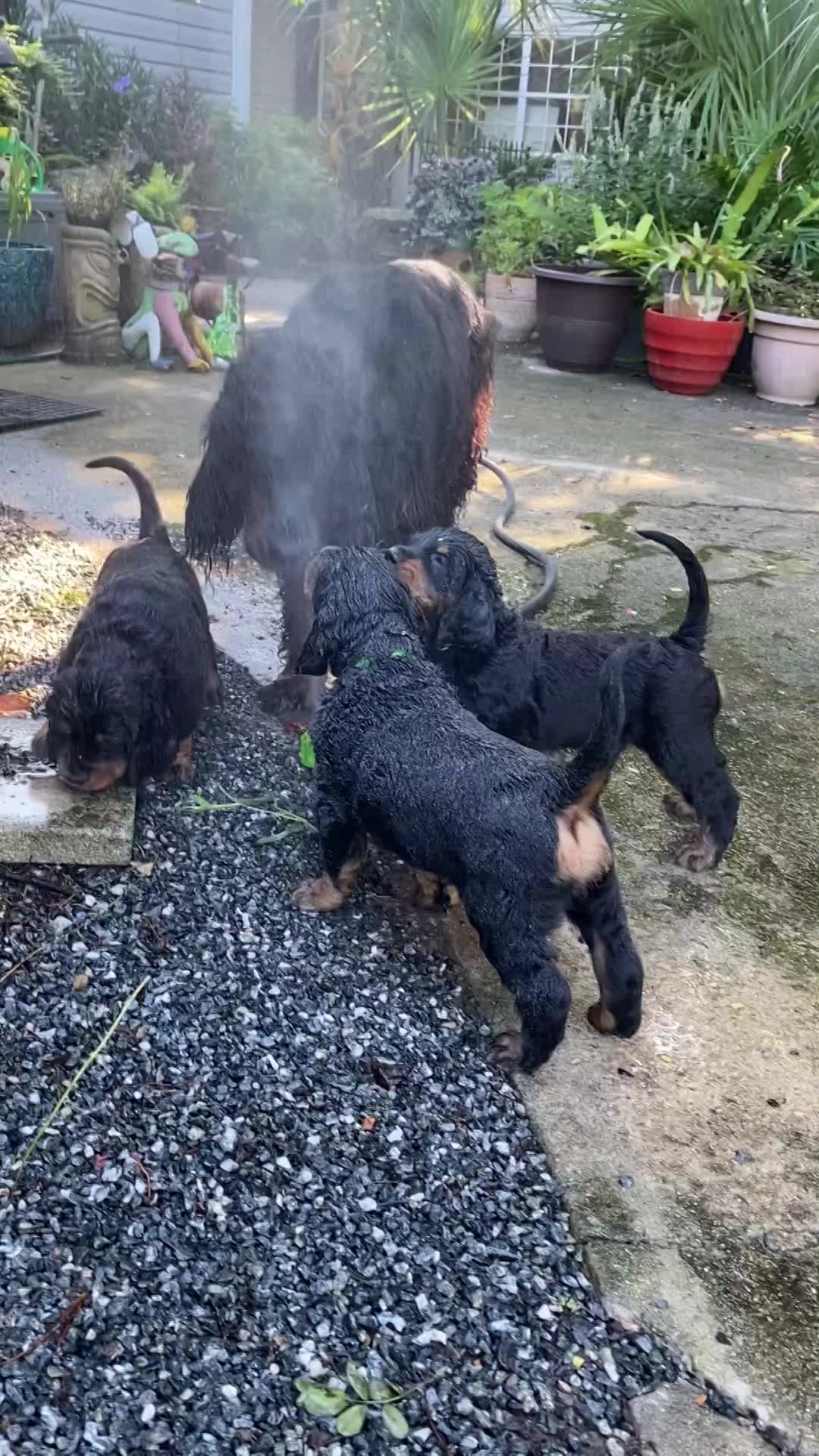 play time inside and out