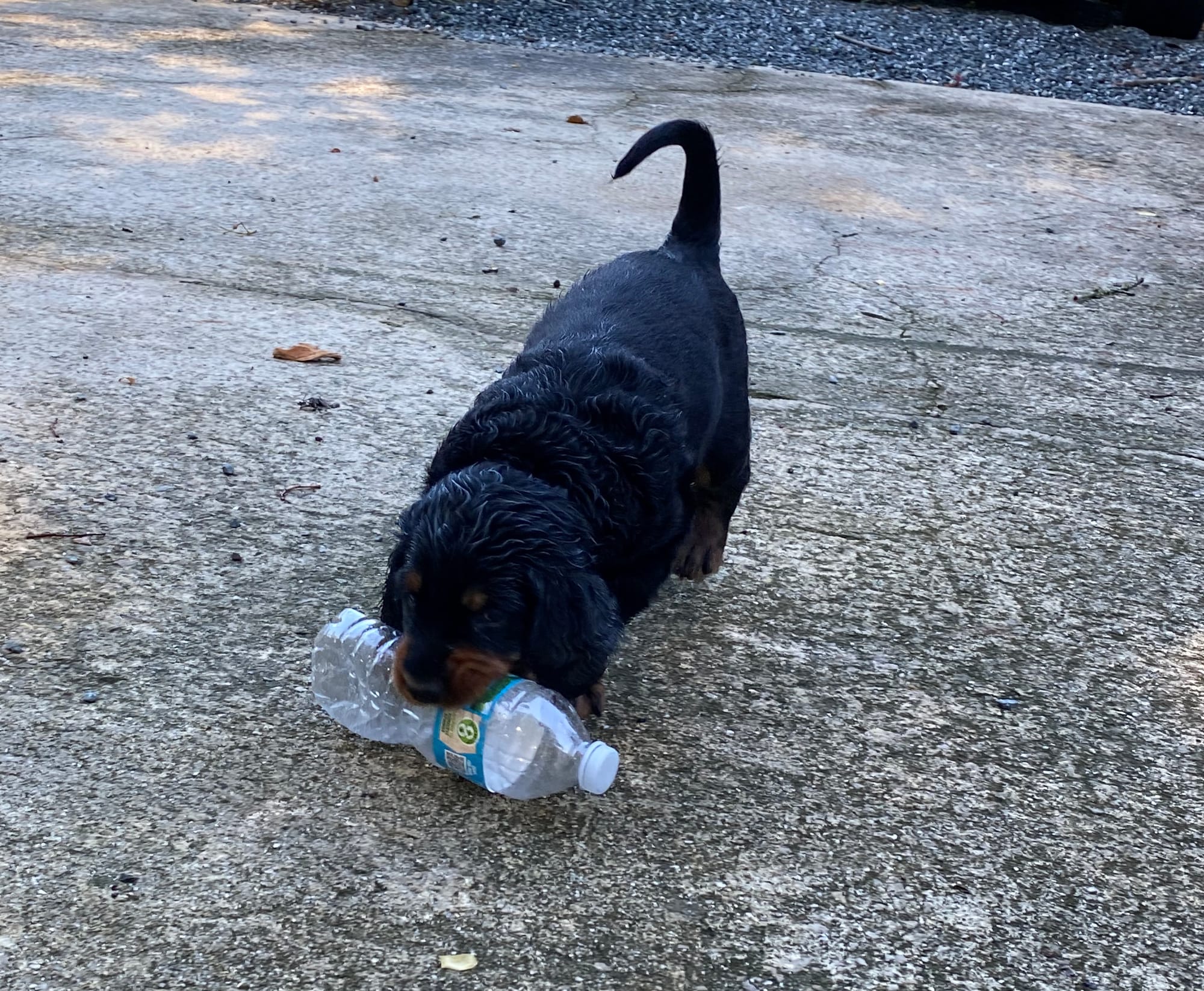 play time inside and out