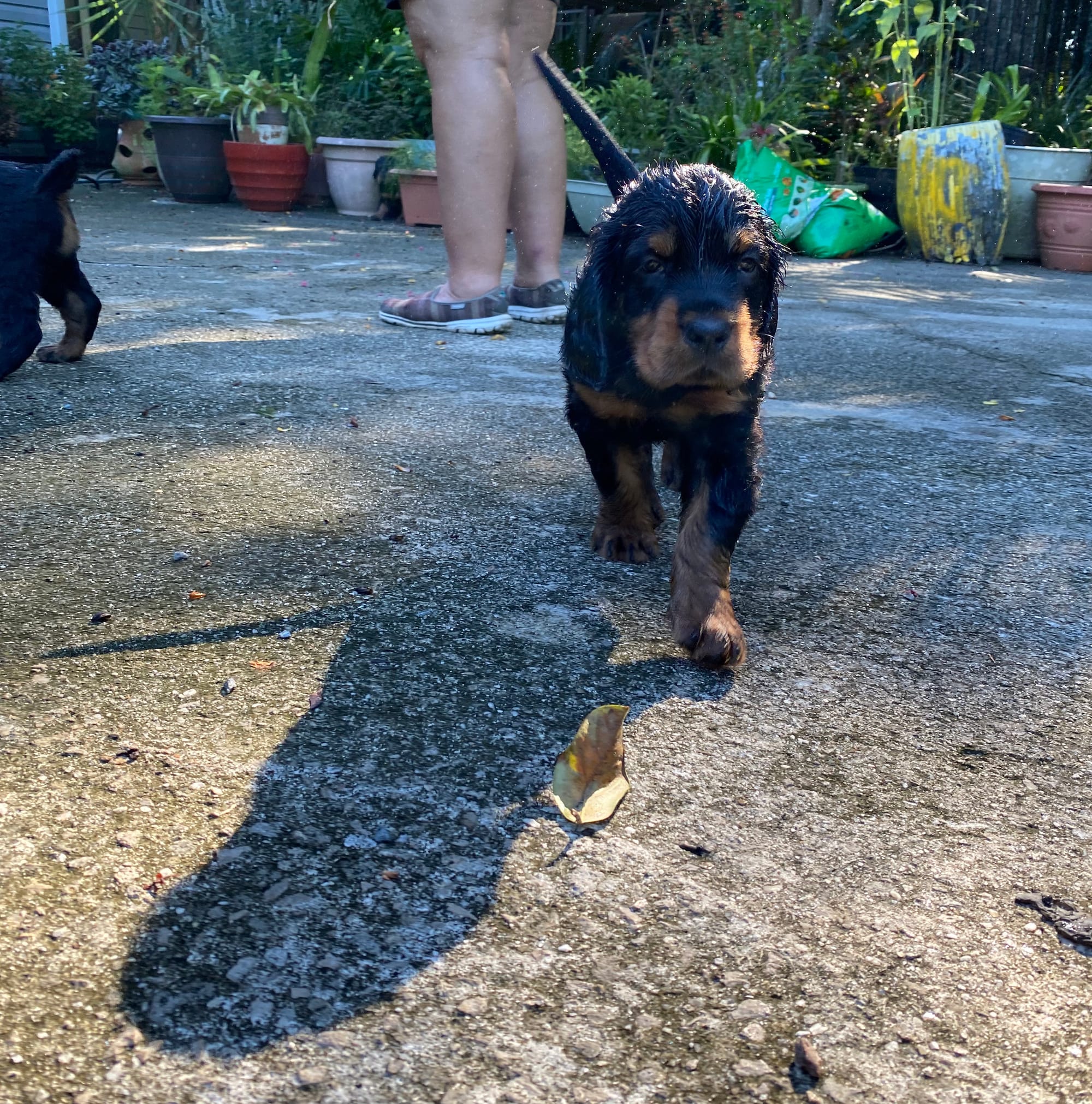 play time inside and out