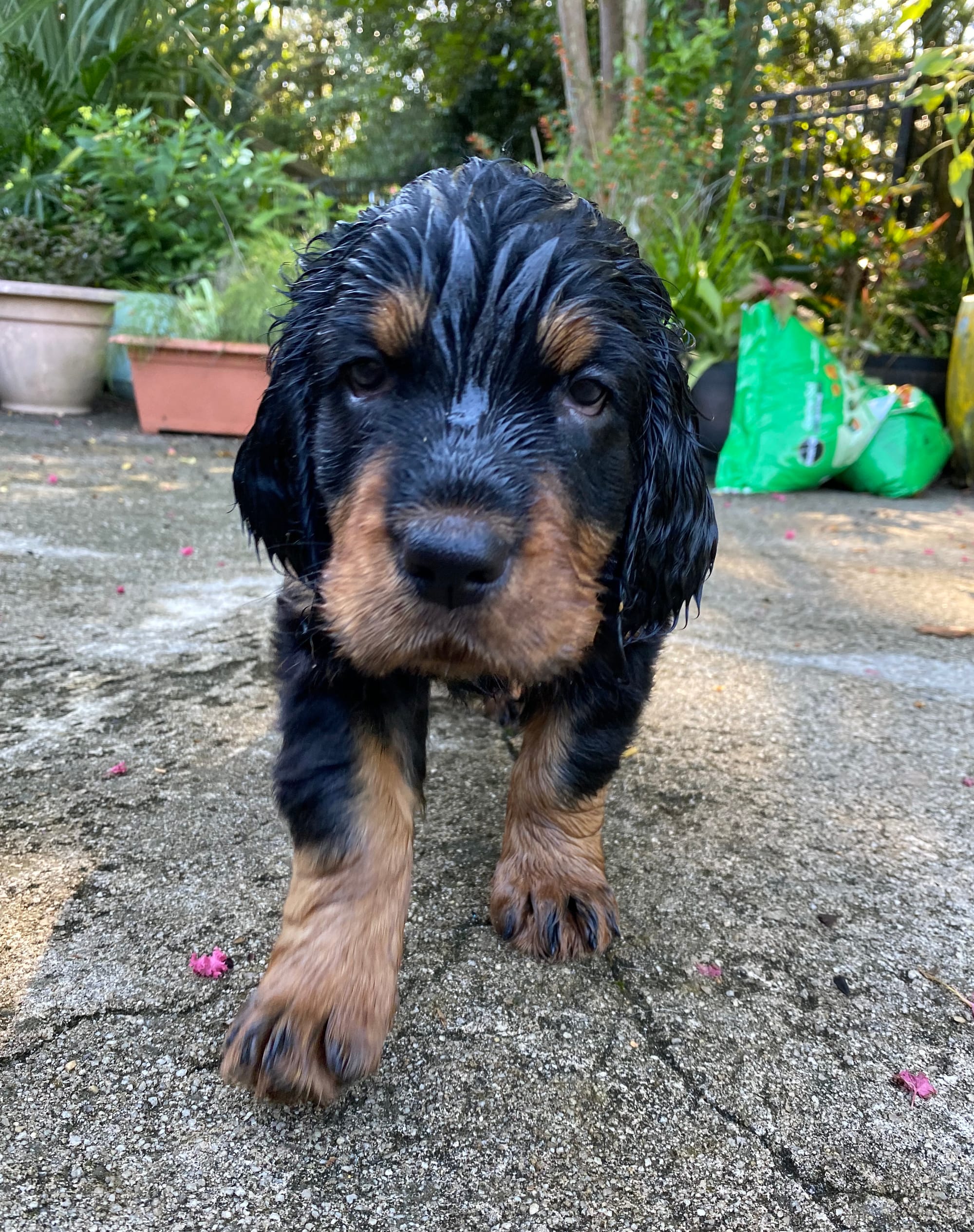 play time inside and out