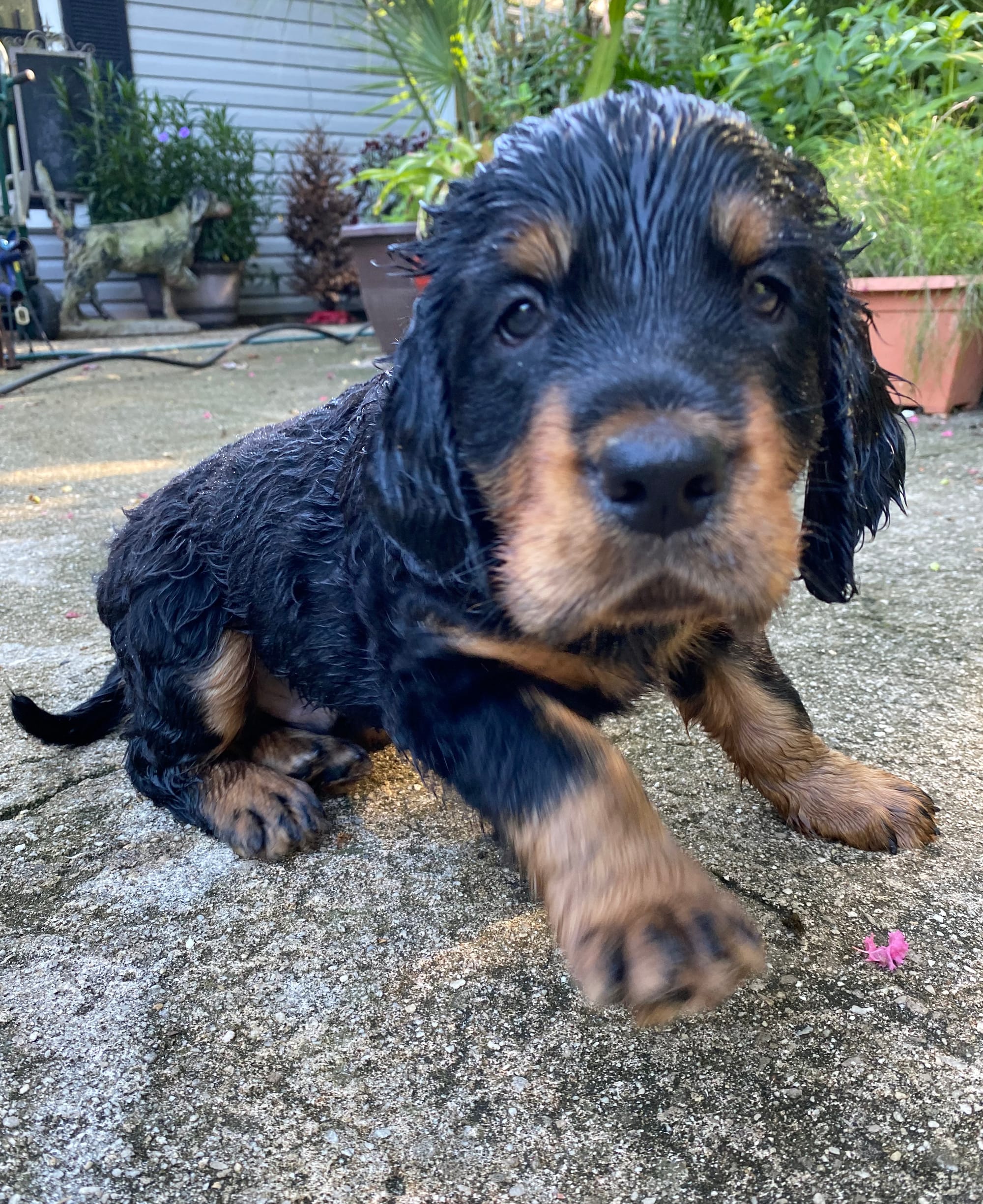 play time inside and out