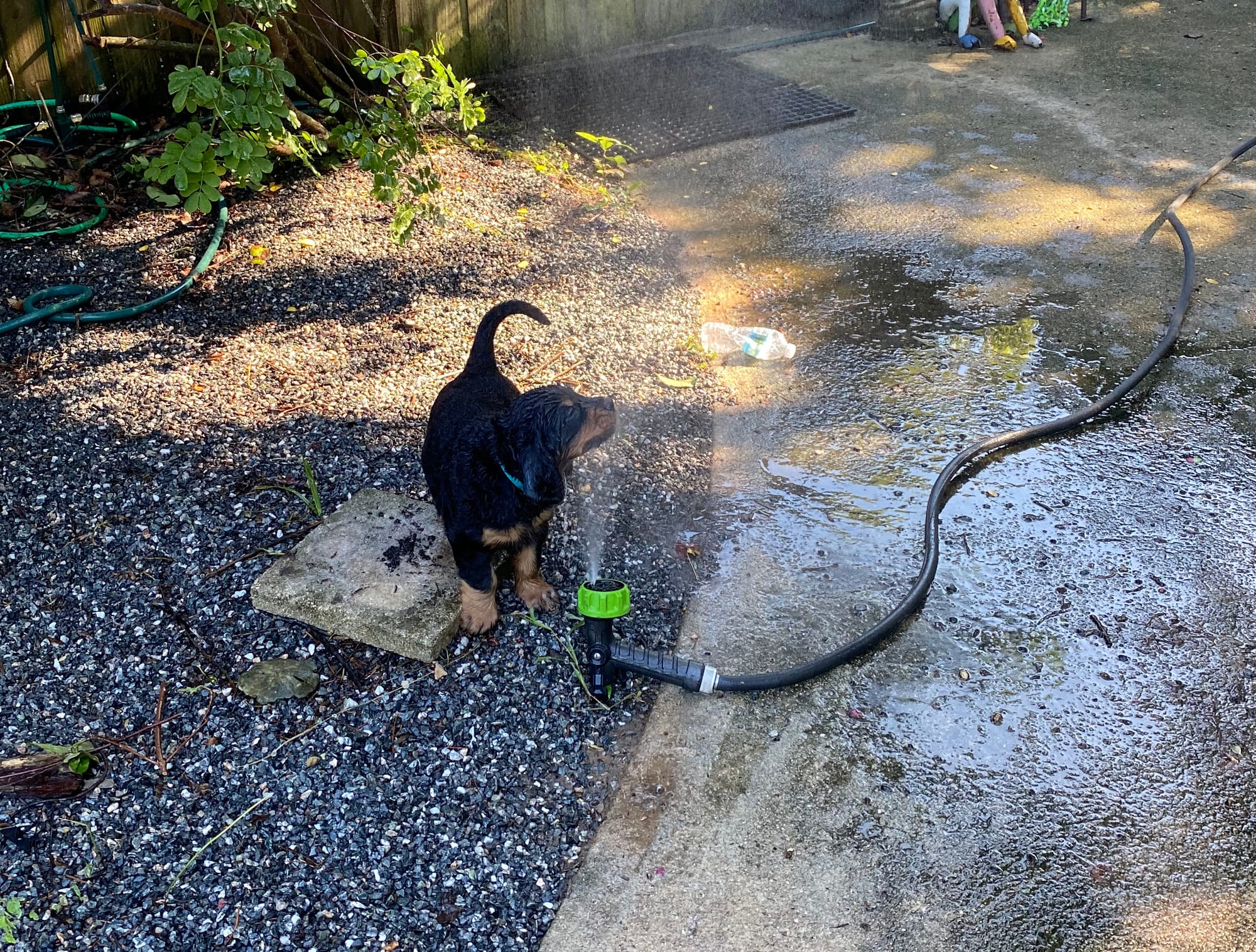 play time inside and out