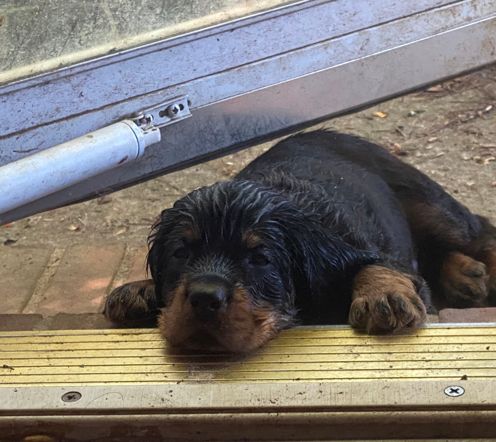 play time inside and out