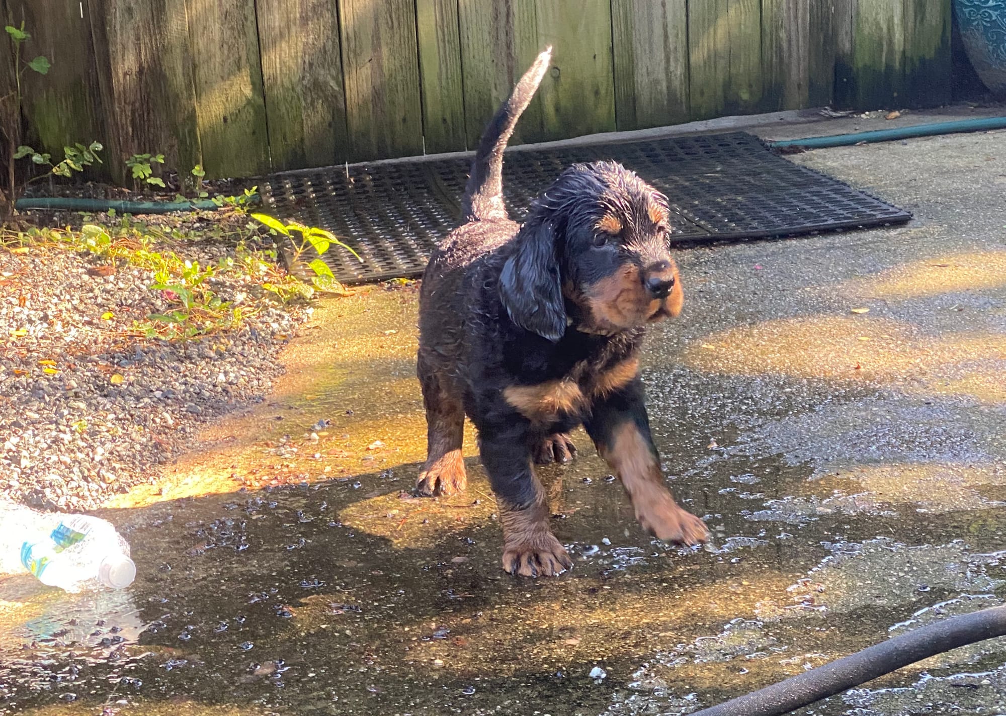 play time inside and out