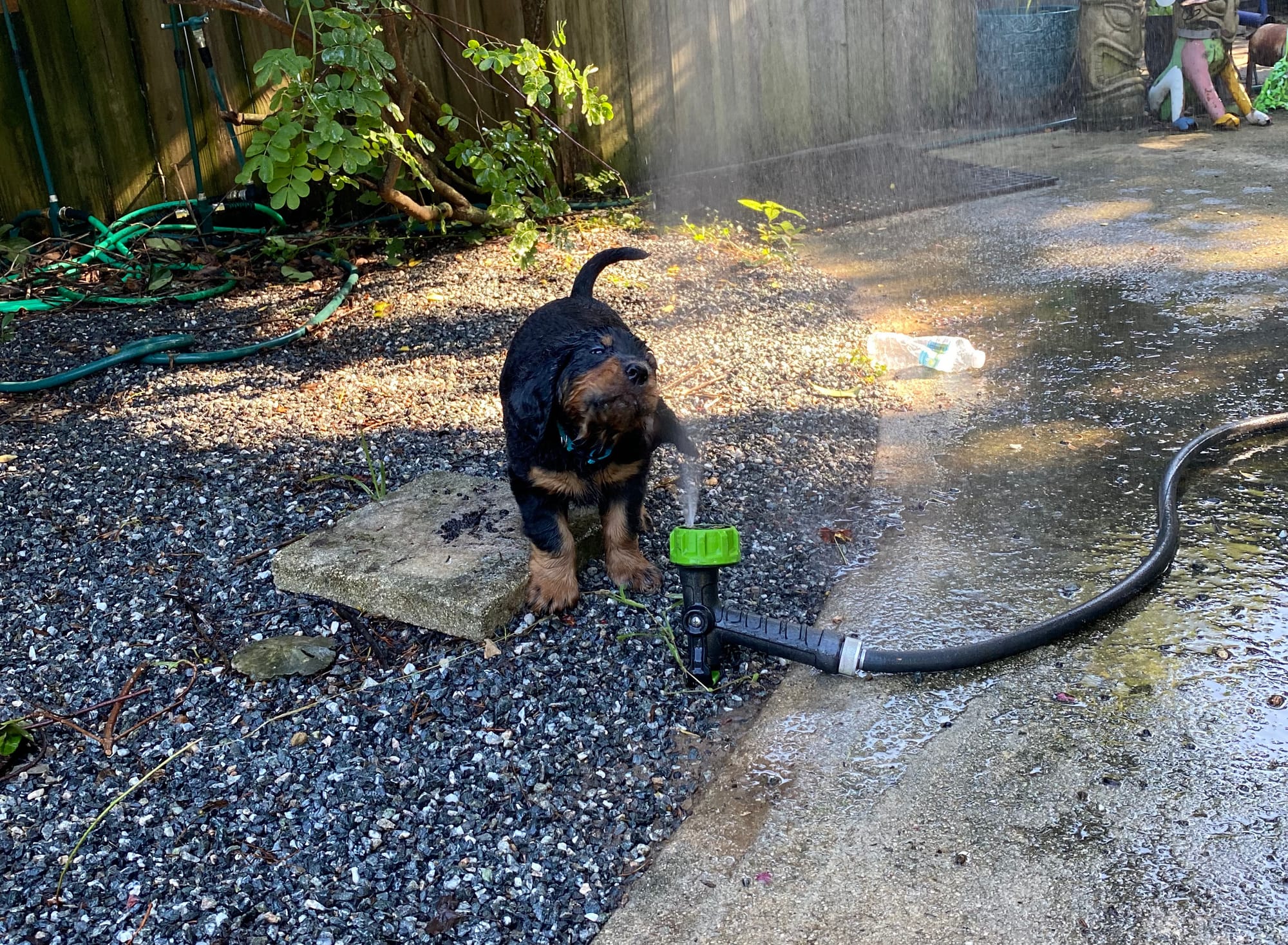 play time inside and out