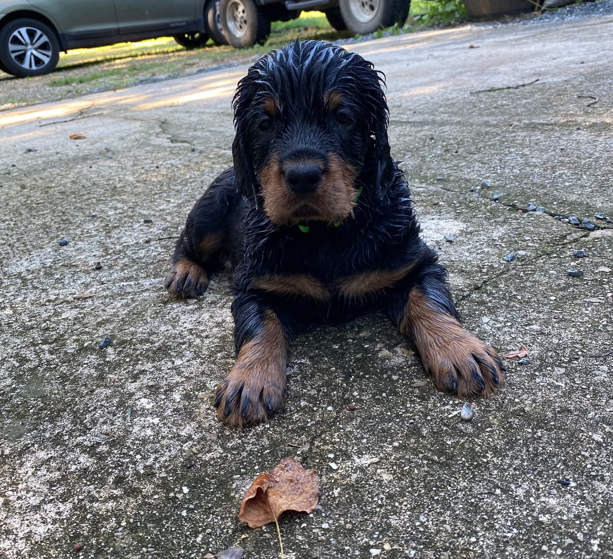 play time inside and out