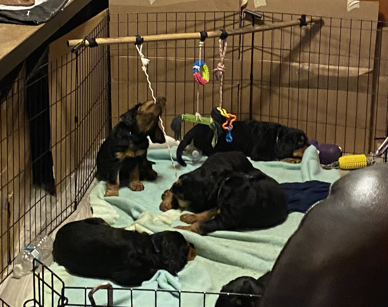 play time inside and out