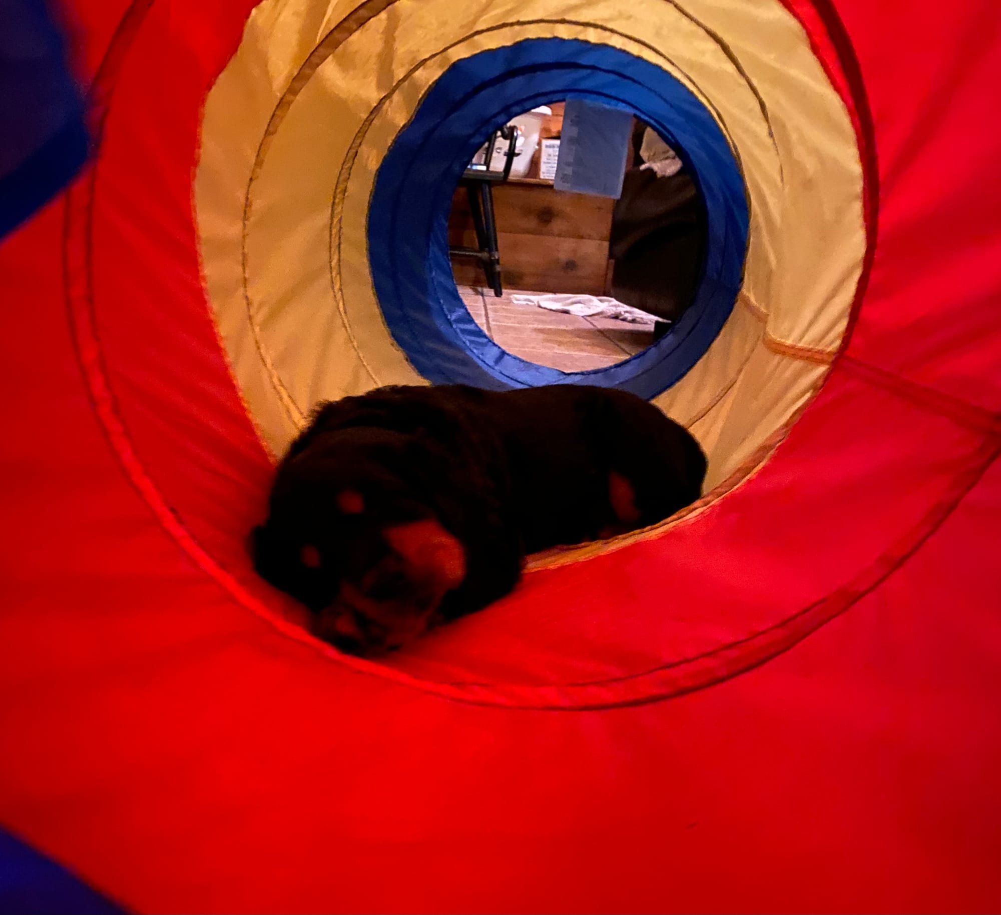 play time inside and out