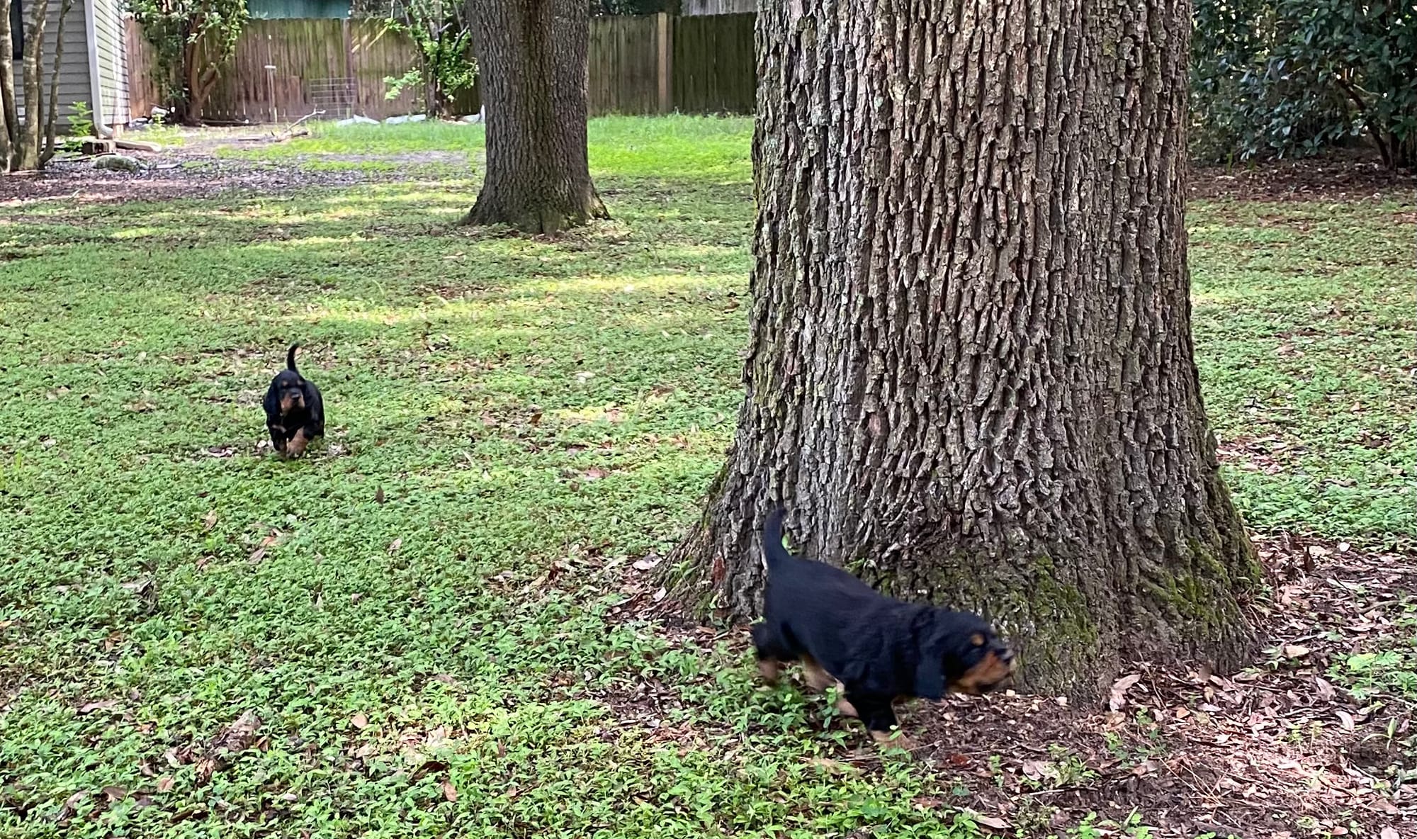 play time inside and out