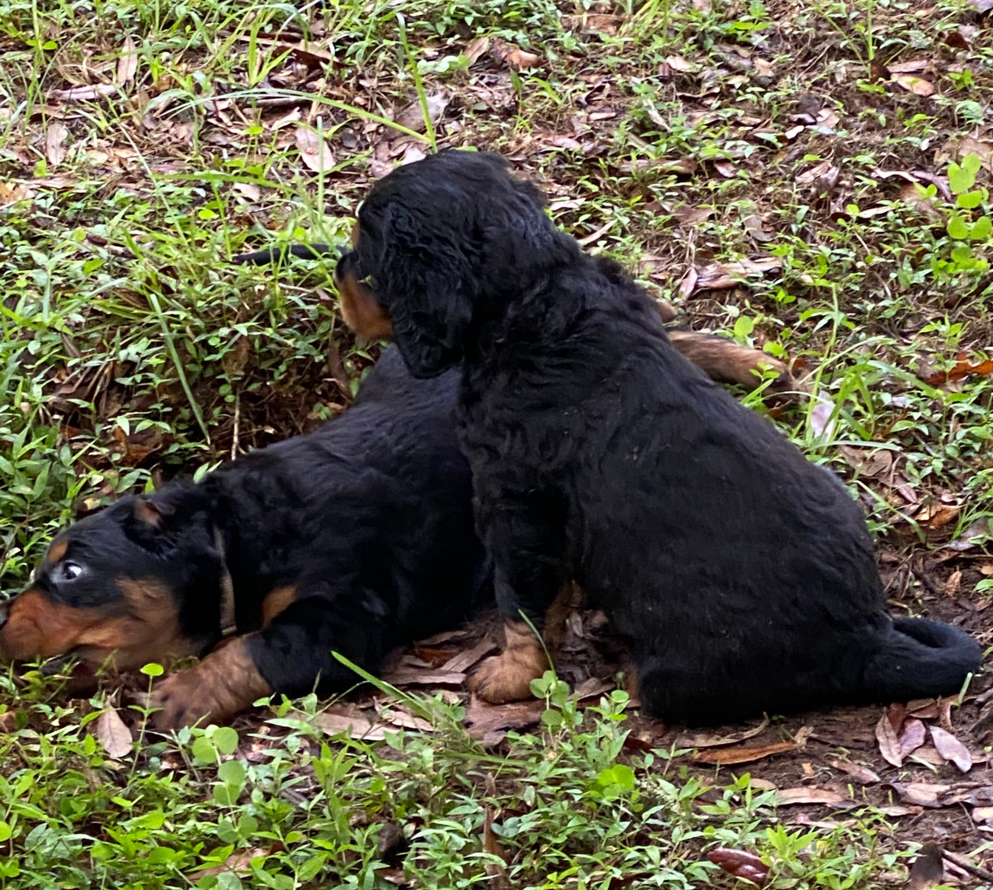 play time inside and out