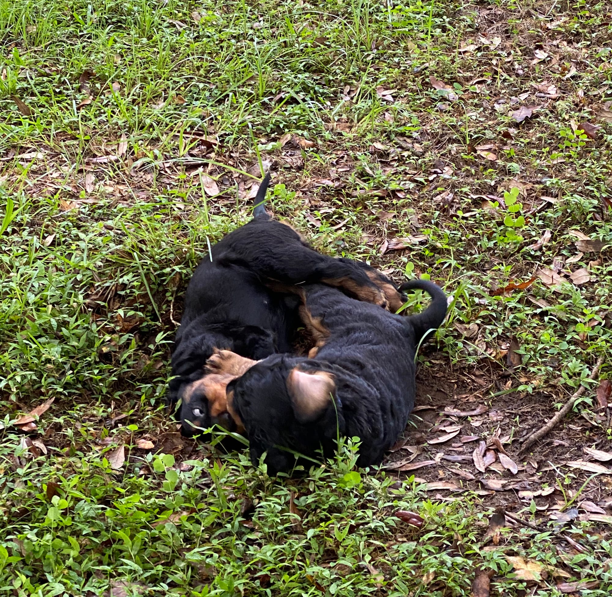 play time inside and out