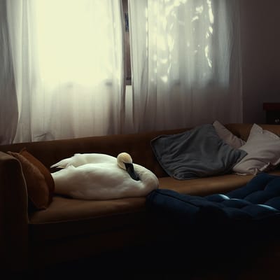 סופי ברזון מקאי | "מי כסף ואדמת כוכבים" | 12.1.24