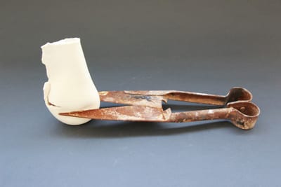 פנינה אפיק, טובה לוטן, גילית לוין רונן | 26.1.24